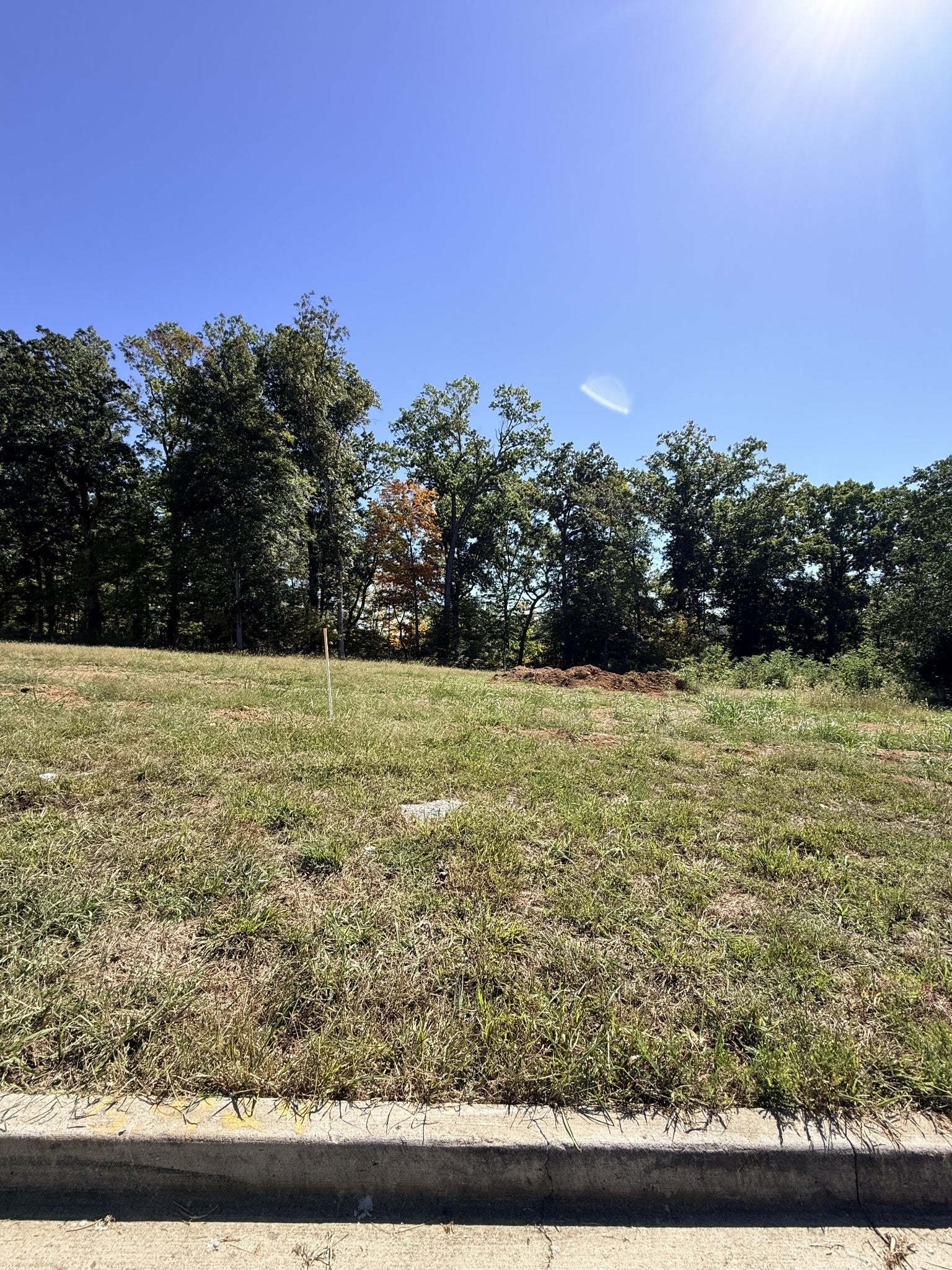 818 Shady Bluff Trl