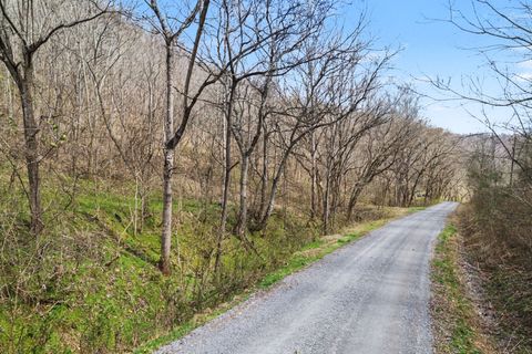 0 Buckeye Hollow Road Smithville TN 37166