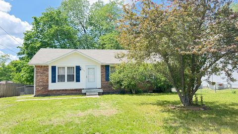 Photo of 510 Ginkgo Dr, Clarksville, TN 37042 (MLS # 3182939)
