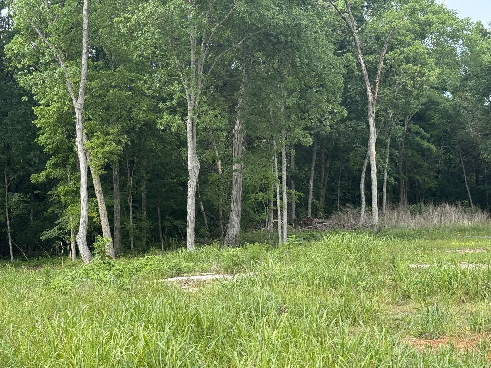 0 Old Nashville Dirt Rd