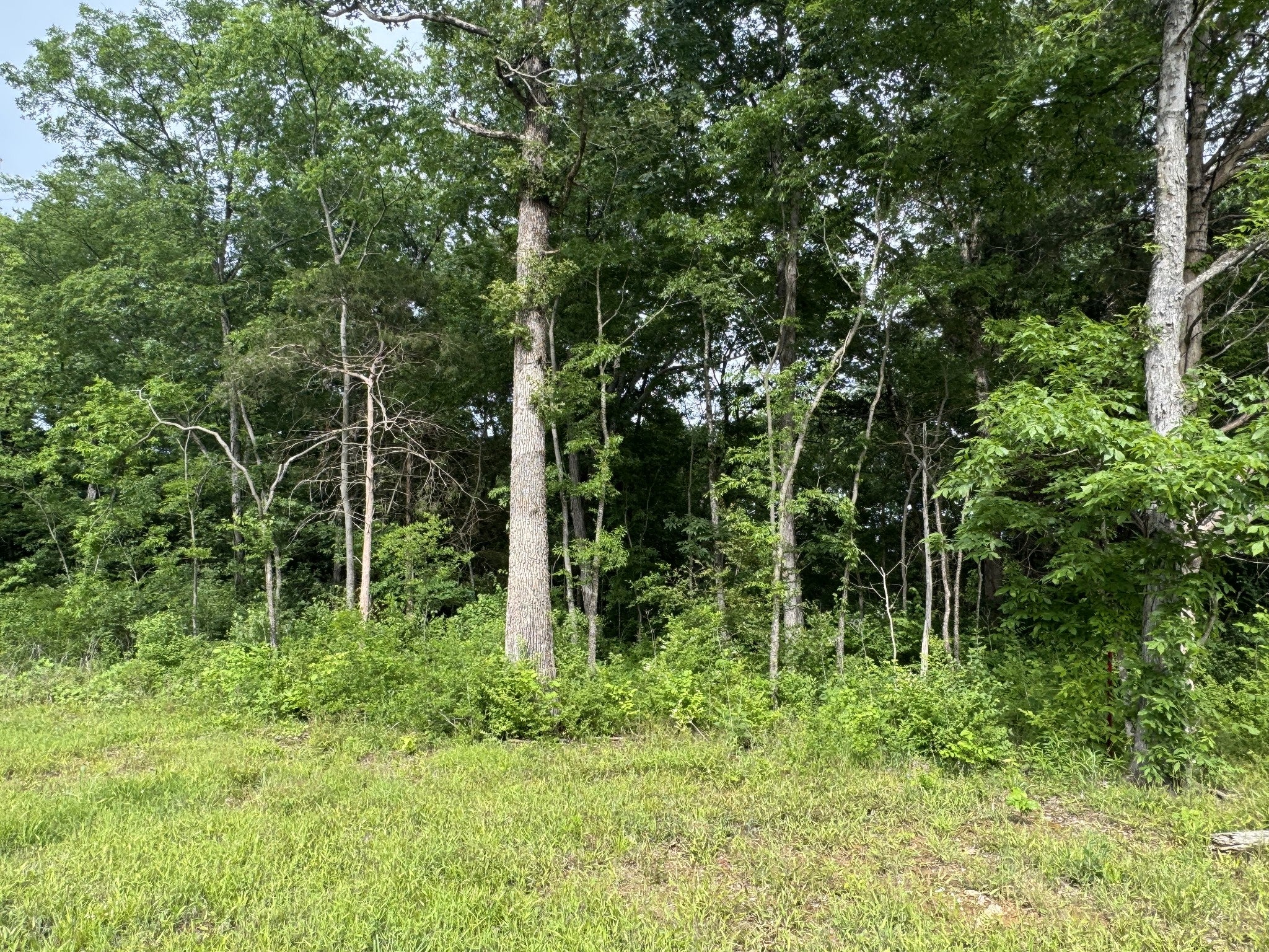0 Old Nashville Dirt Rd