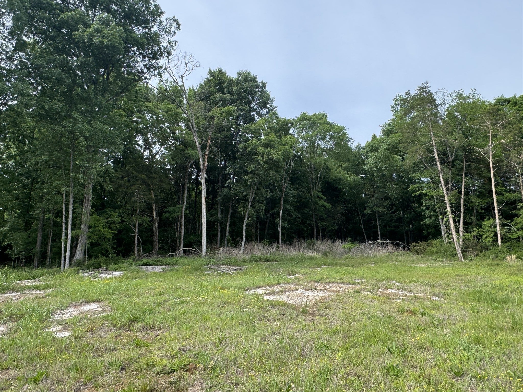 0 Old Nashville Dirt Rd