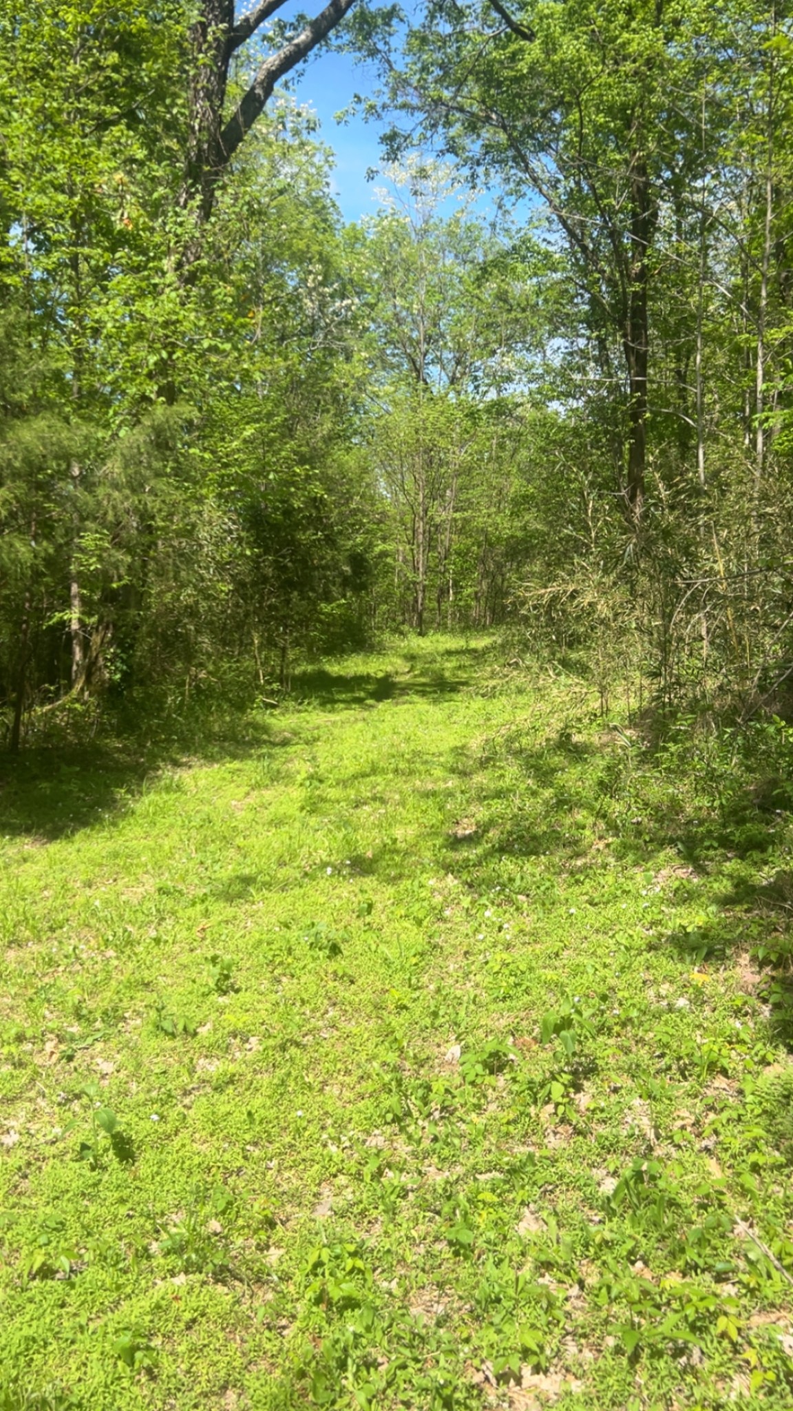 Middle Tennessee Properties 3 0 Wolf Hill Rd