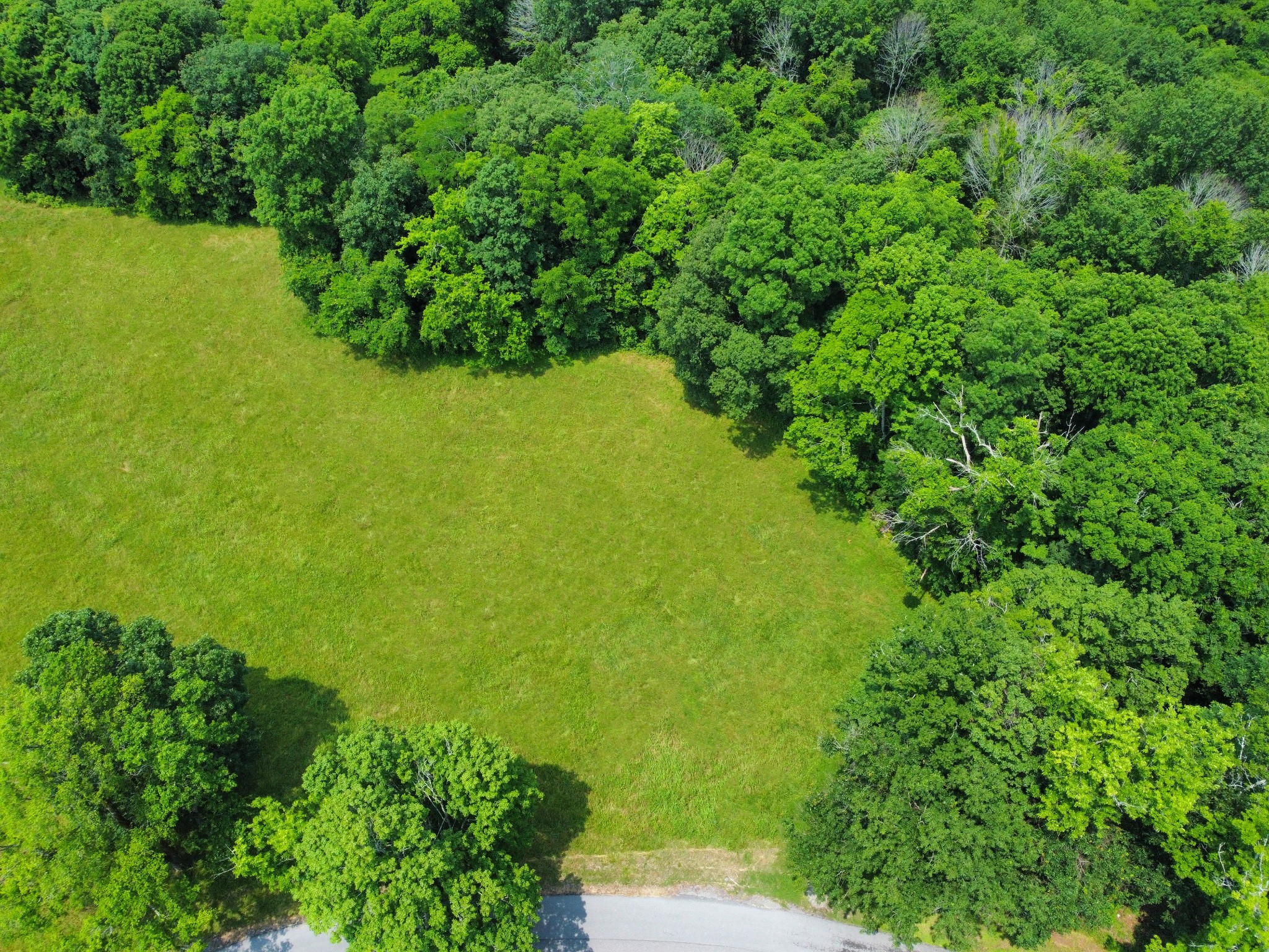 Middle Tennessee Properties 1 0 Wolf Hill Rd