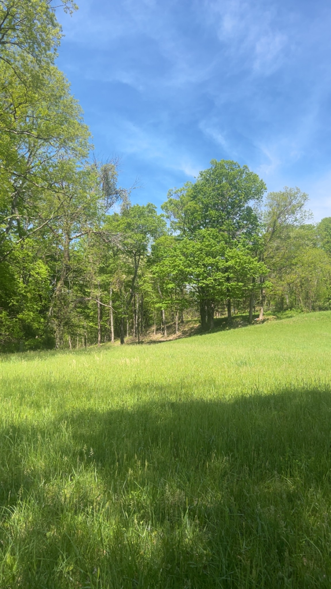 Middle Tennessee Properties 4 0 Wolf Hill Rd