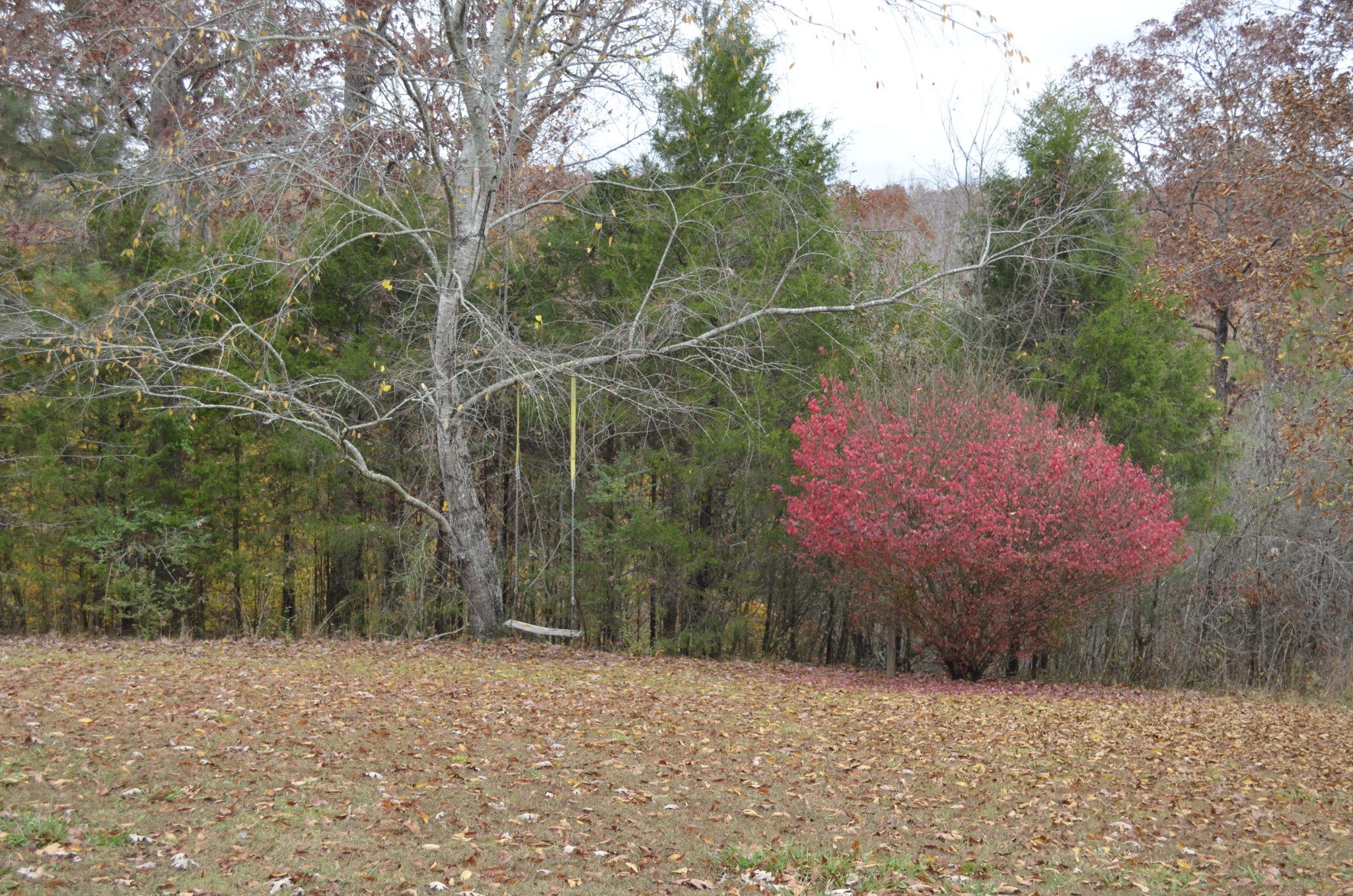 547 Grindstone Hollow Rd