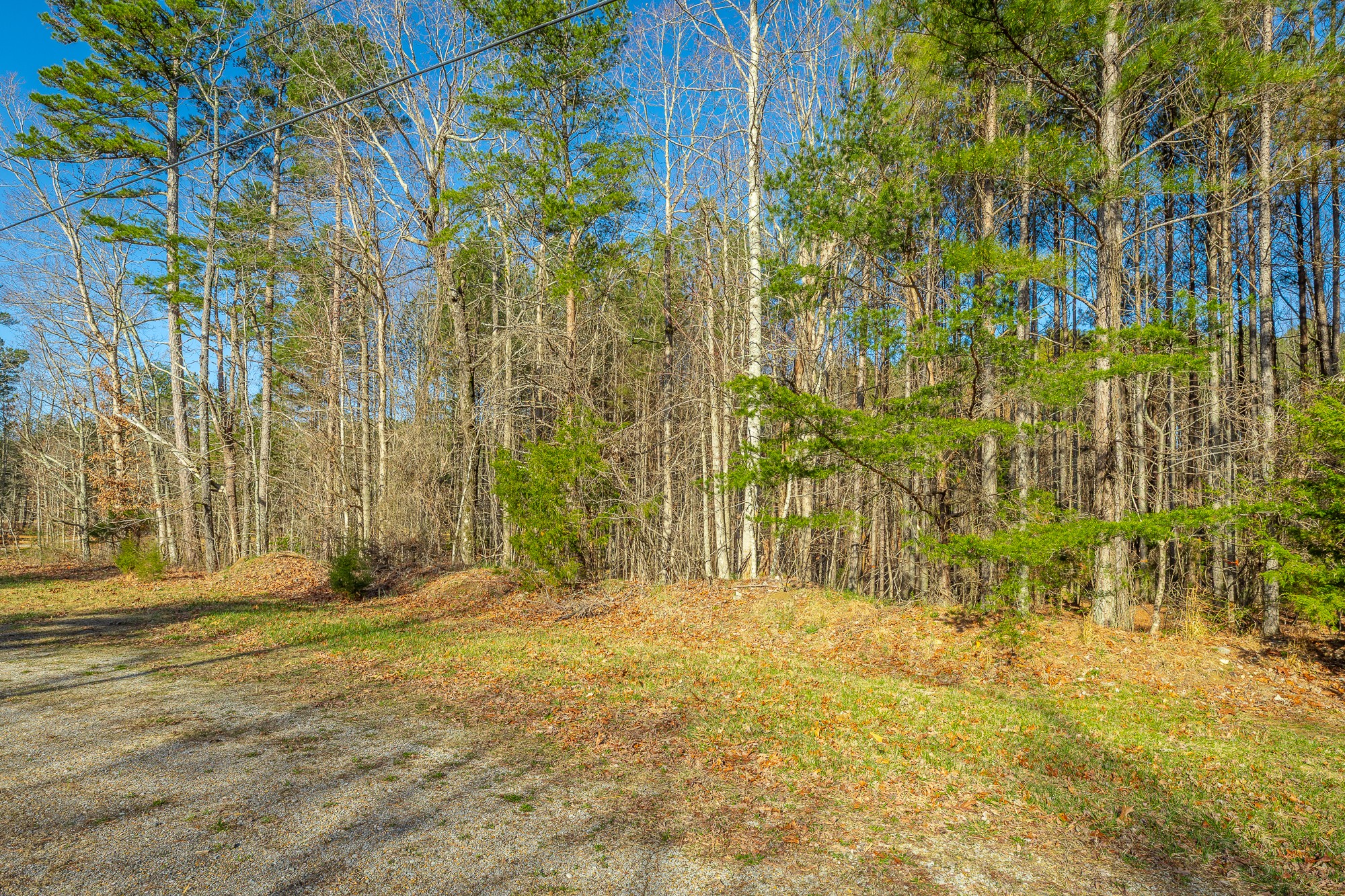 10147 S Pittsburg Mountain Road