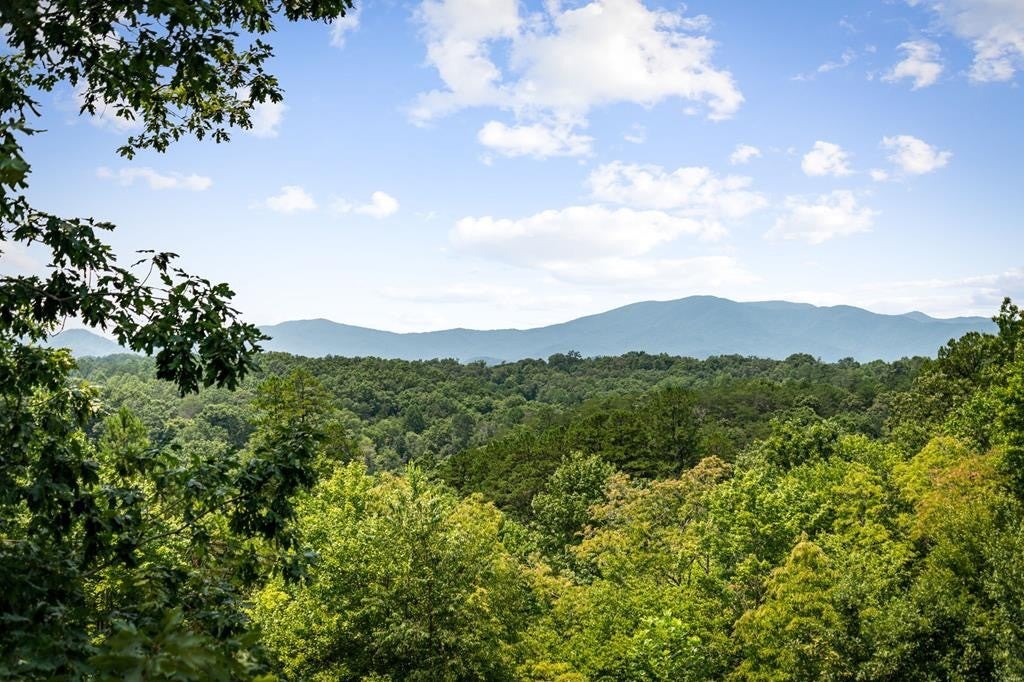 185 Austin Mountain Road