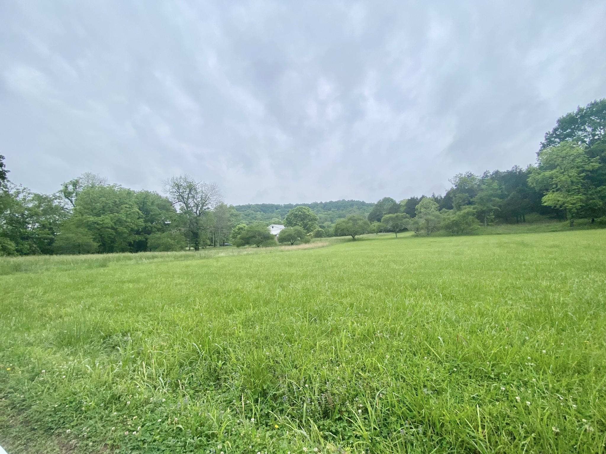 2669 Lick Creek Rd 2669A&B,2685A&B