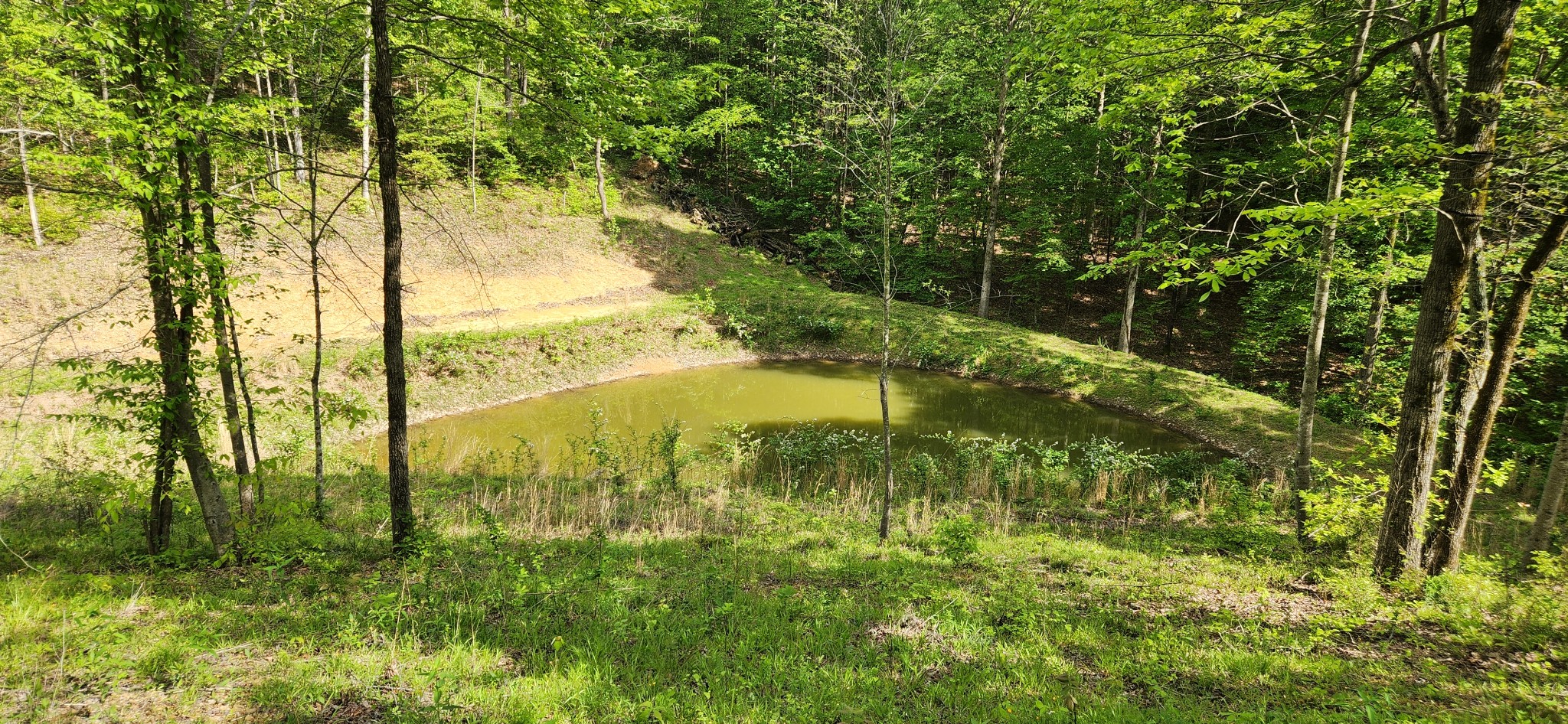 386 James Zimmerman Rd