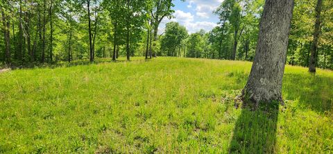 386 James Zimmerman Rd Hampshire TN 38461