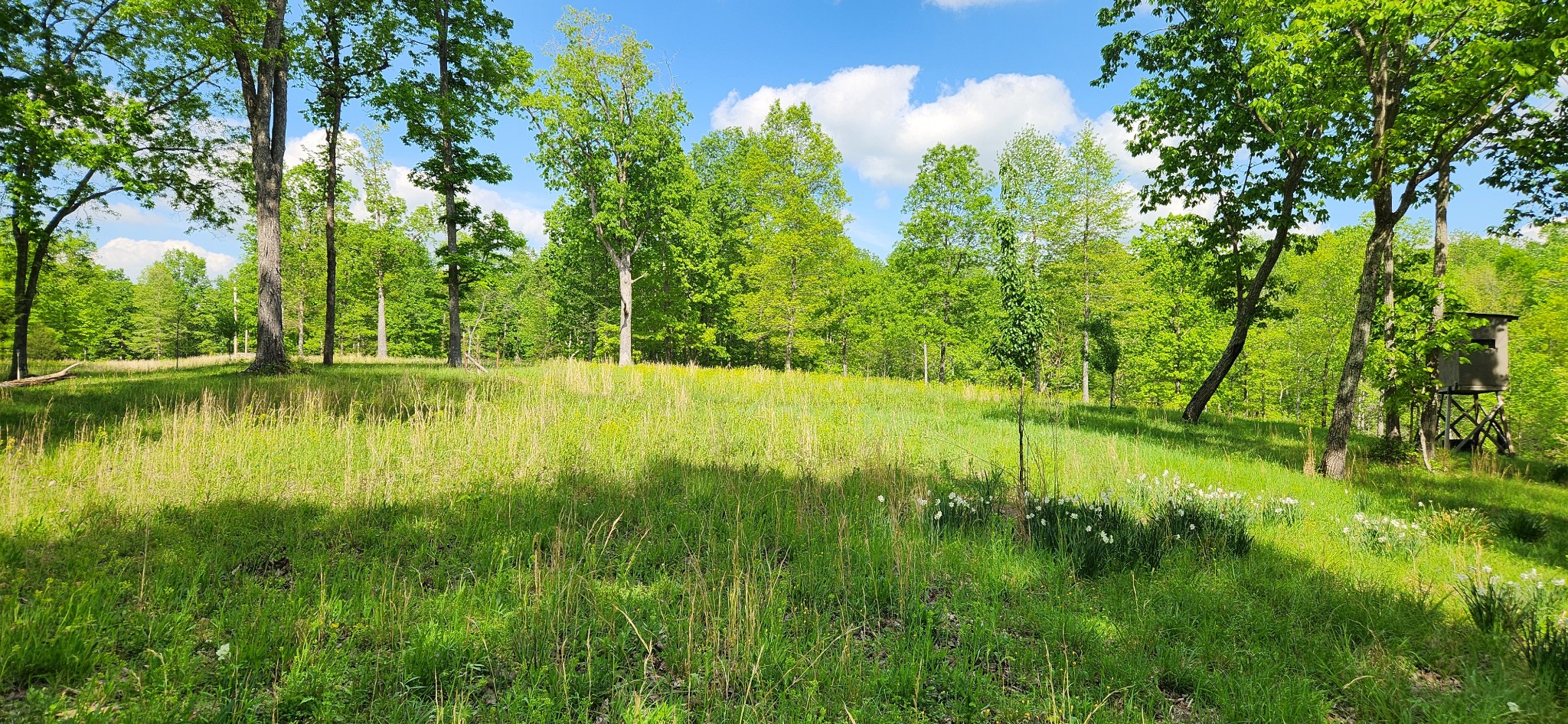 386 James Zimmerman Rd