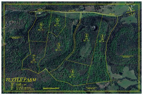 0 Red Tuttle Road Bethpage TN 37022