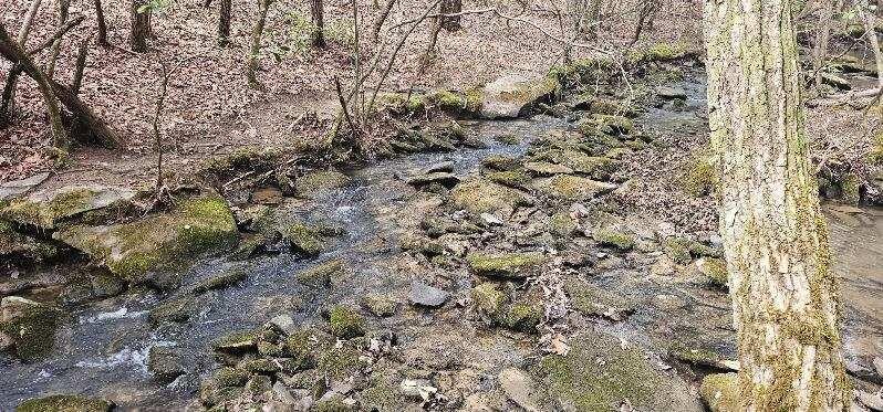 Middle Tennessee Properties 1 1147 Woods Rd Road