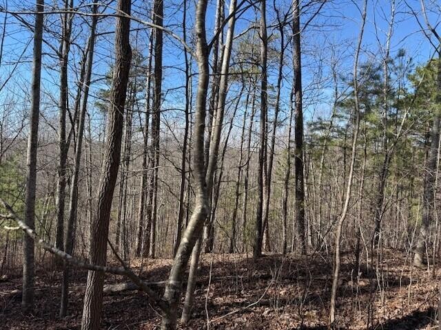 1 South Pittsburg Mountain