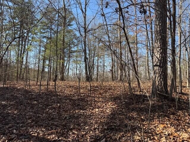 1 South Pittsburg Mountain