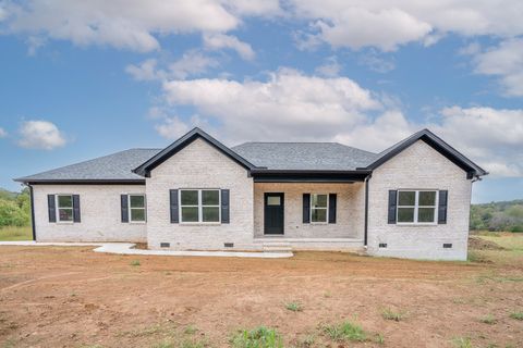 Photo of 3771 Buffalo Rd, Summertown, TN 38483 (MLS # 3013865)
