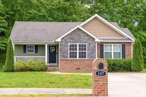 Photo of 107 Tanesha Ct, Portland, TN 37148 (MLS # 3120328)
