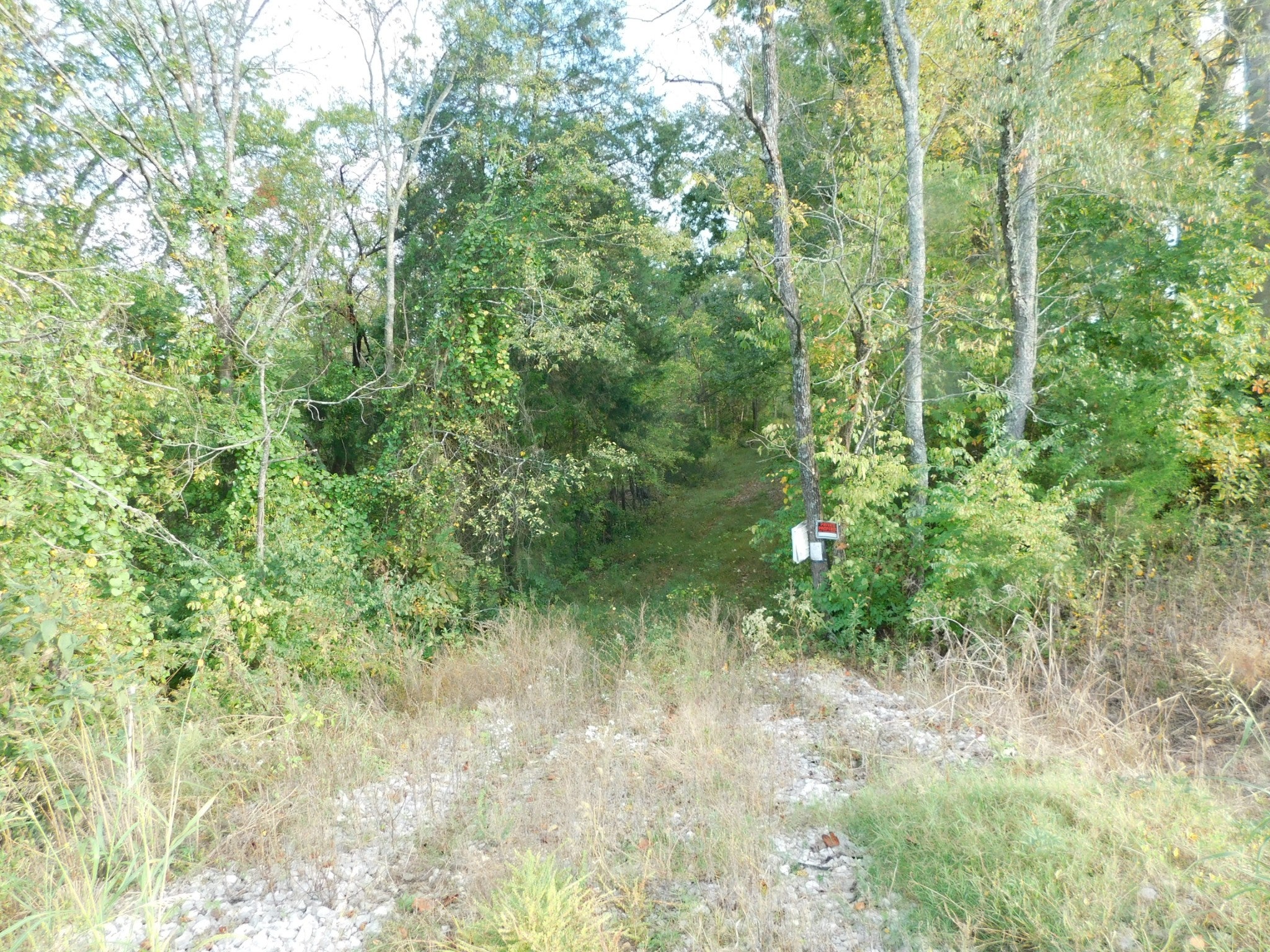 3132 Highway 31 E
