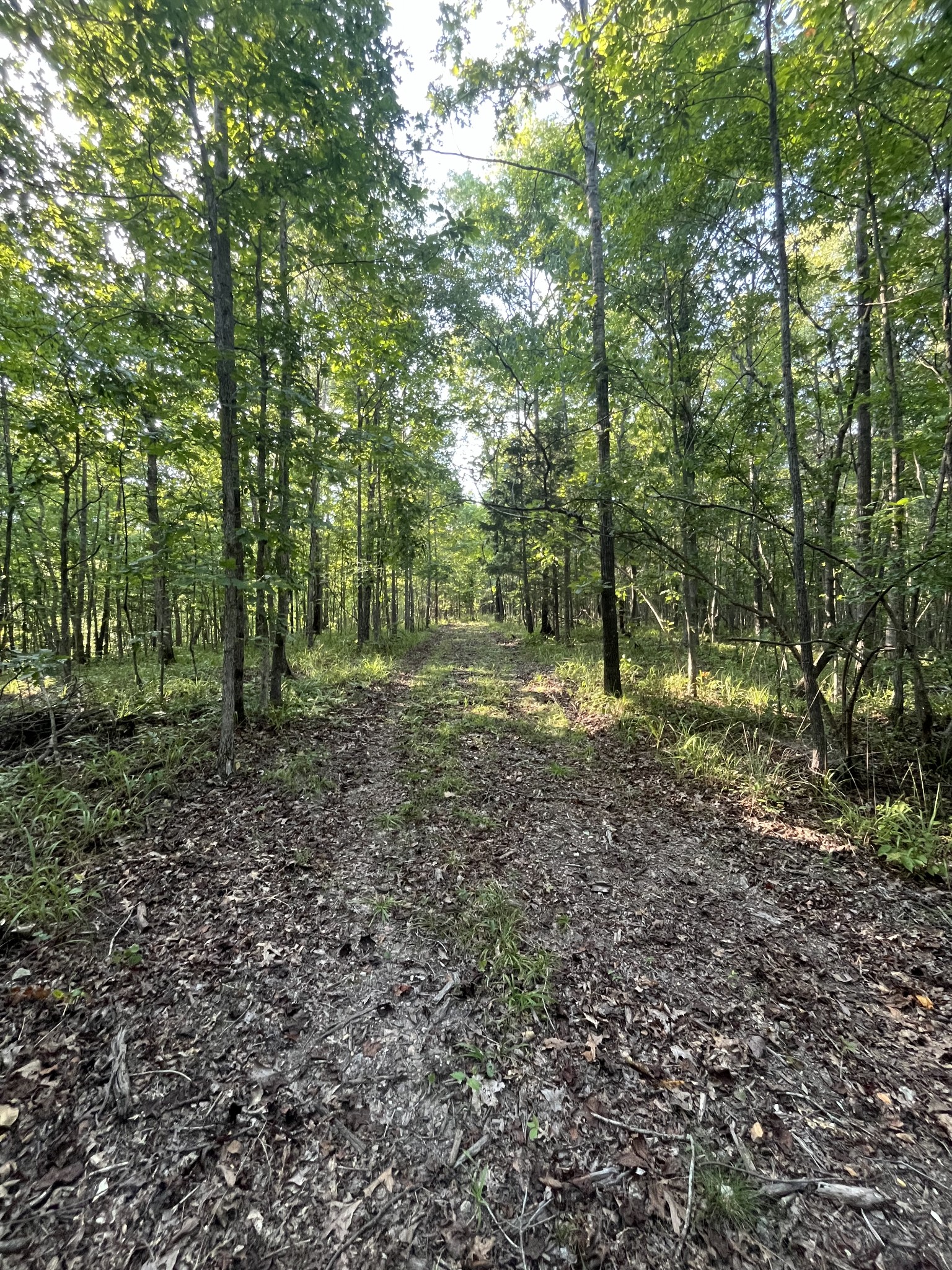 481 Hillbrook Dr