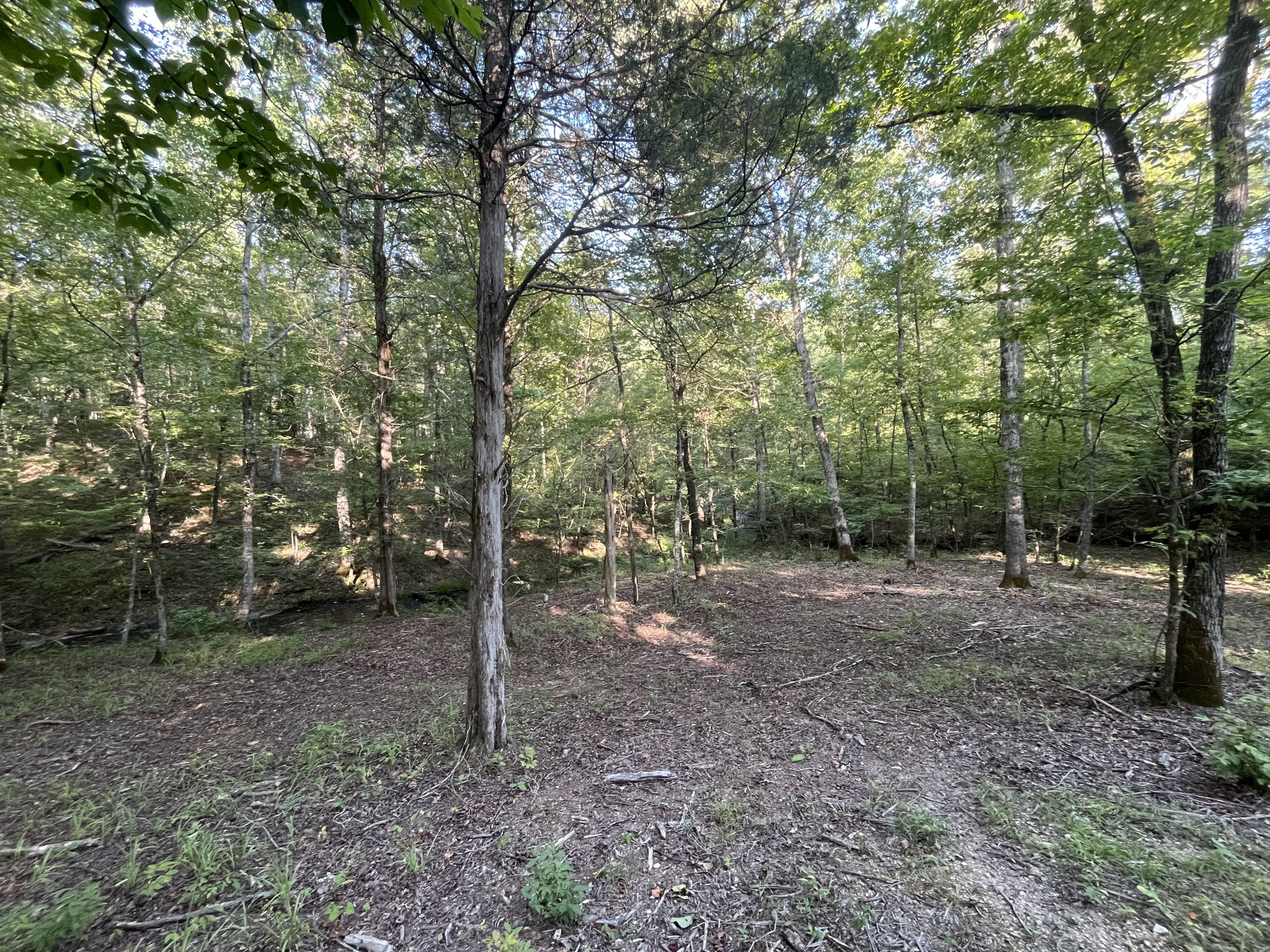 481 Hillbrook Dr
