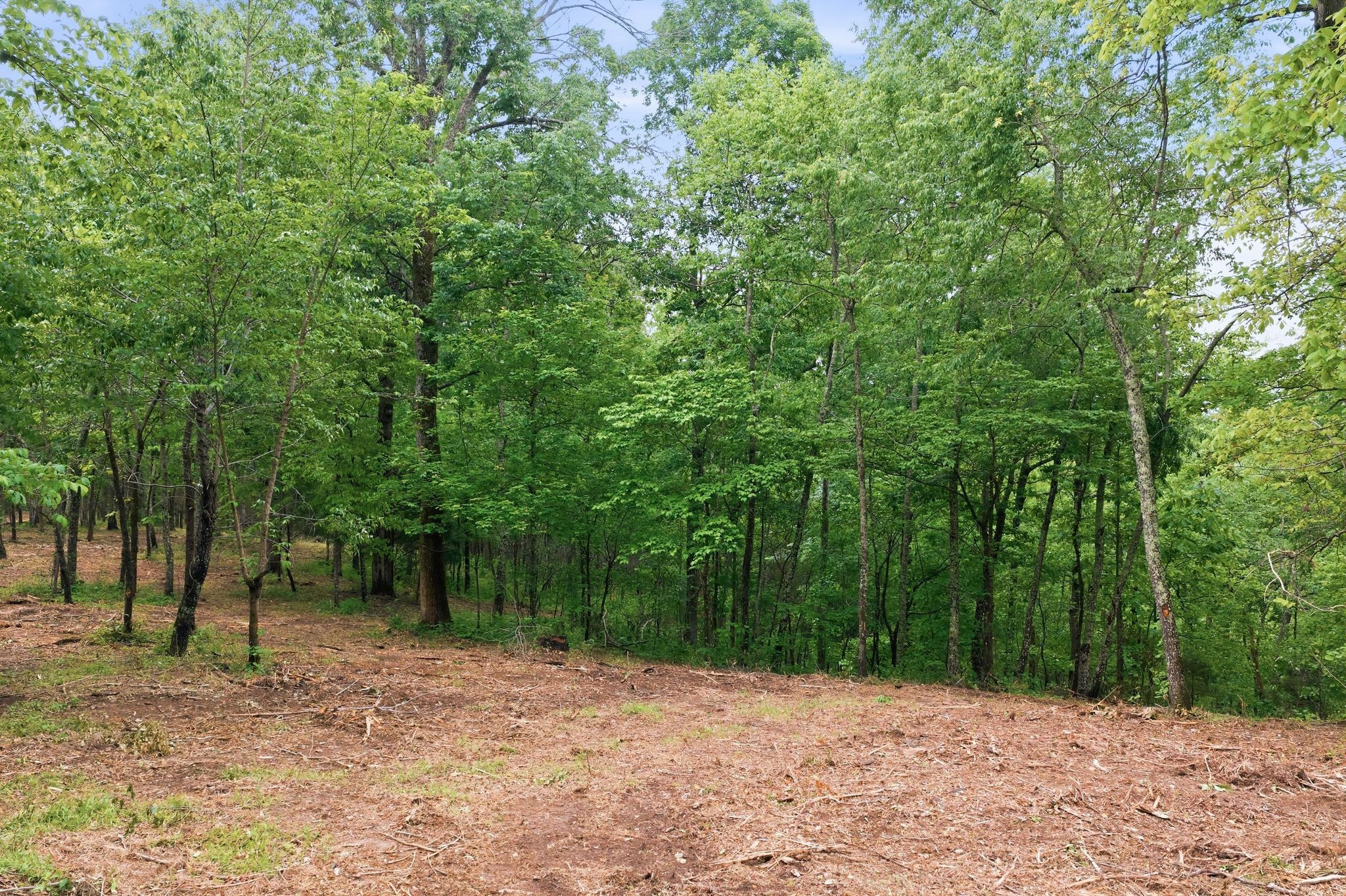 0 Willow Springs Road