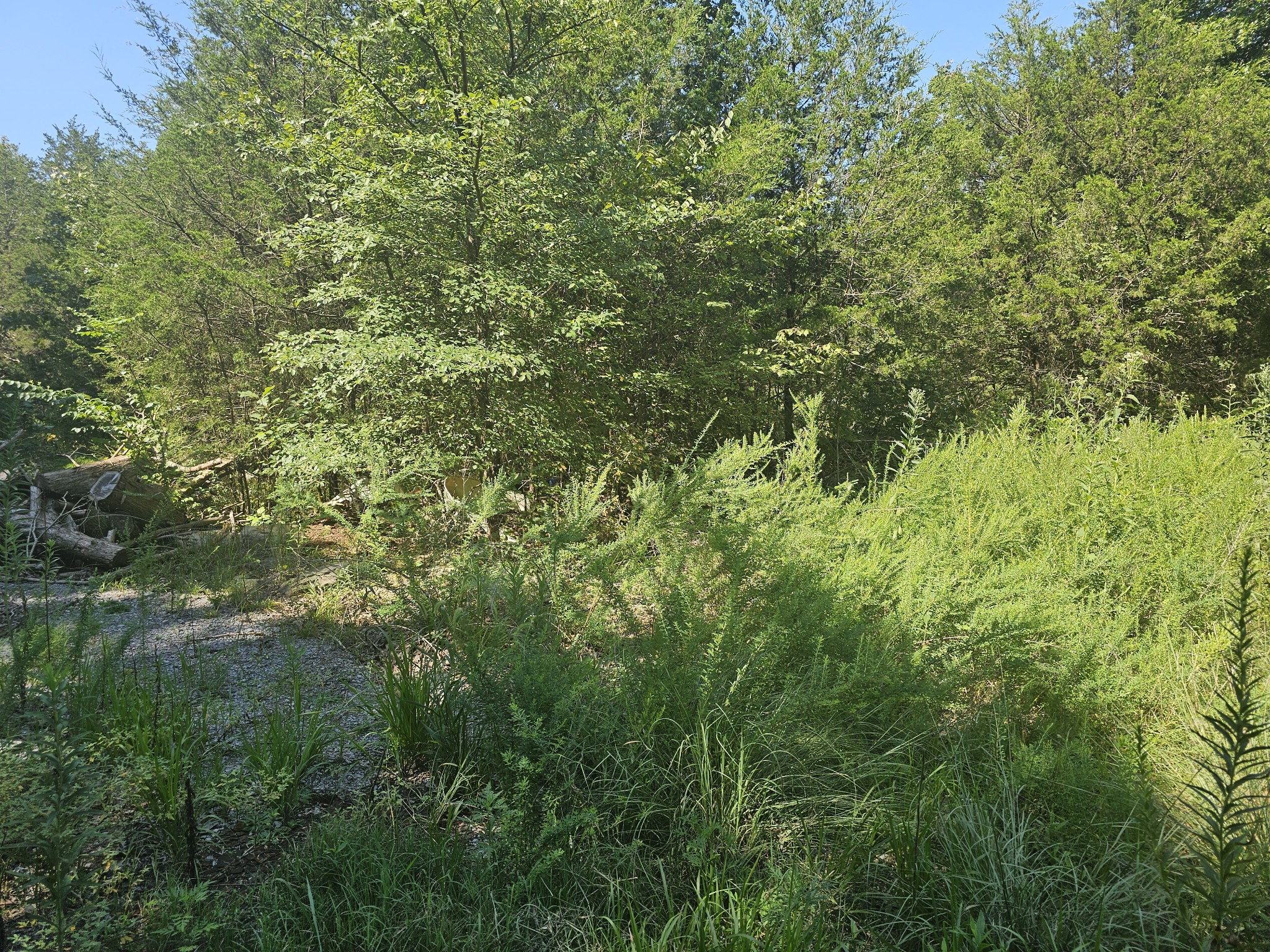 Middle Tennessee Properties 1 0 Underwood Rd