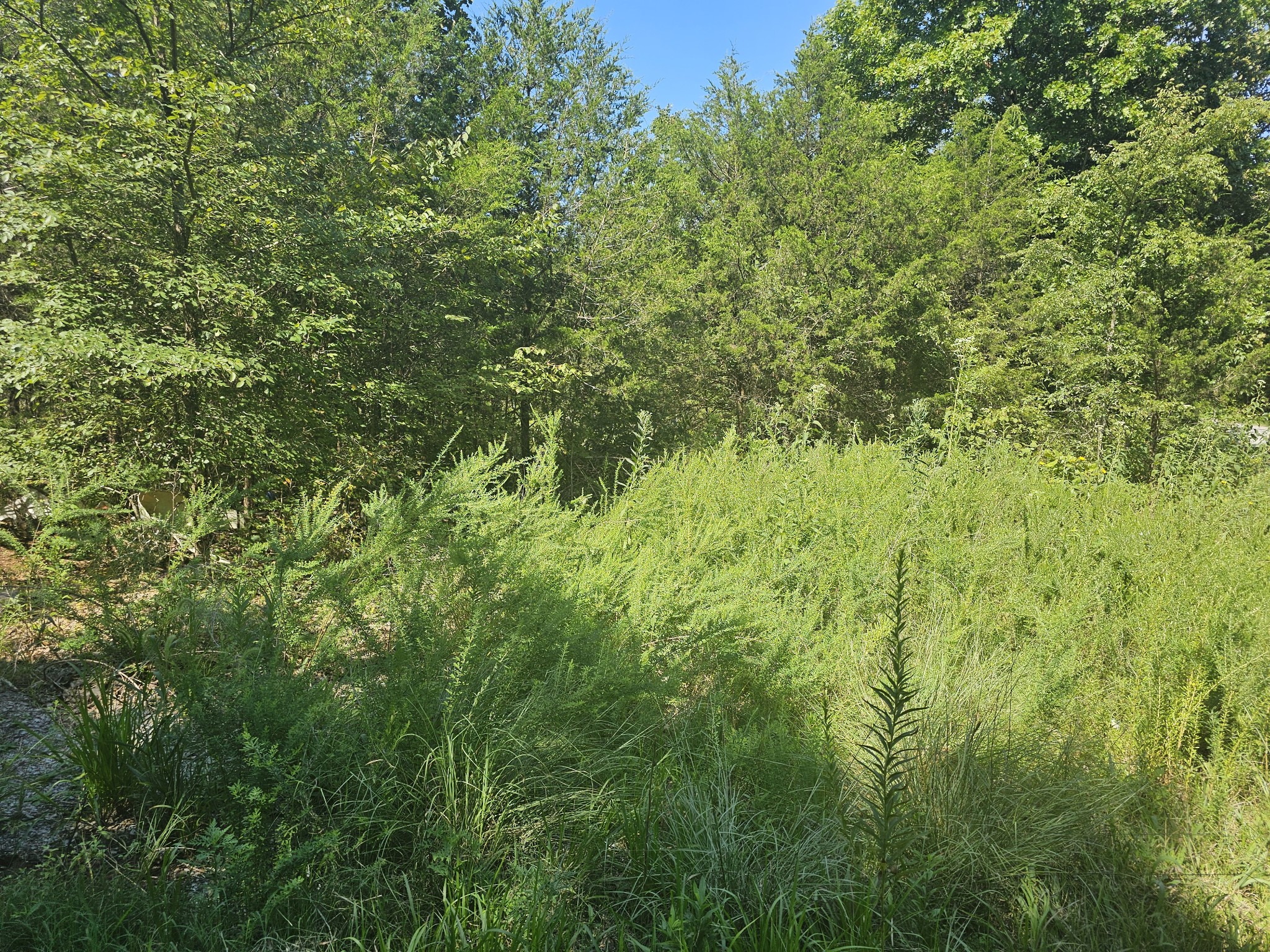 Middle Tennessee Properties 2 0 Underwood Rd