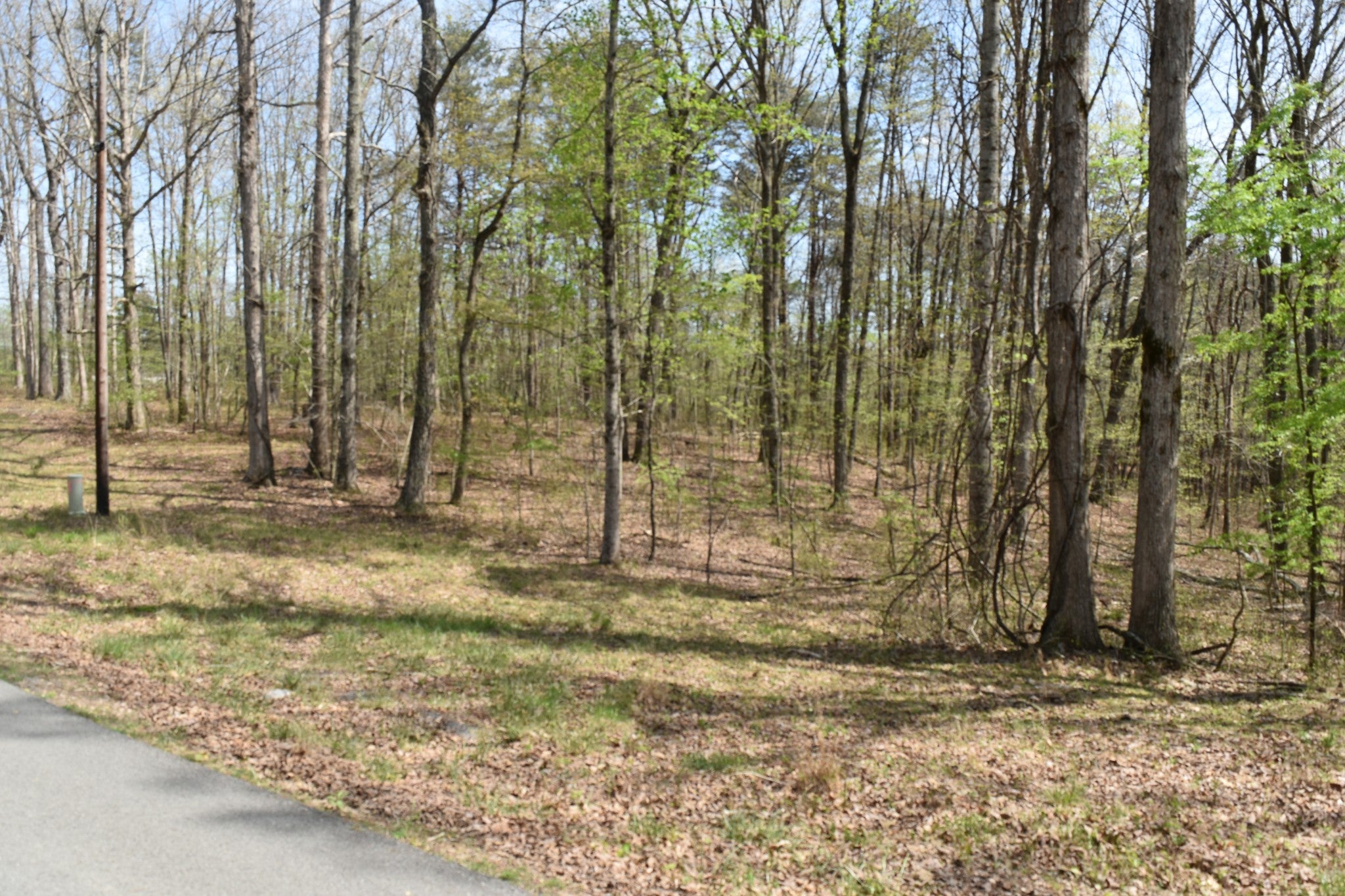 490 Haynes Rd