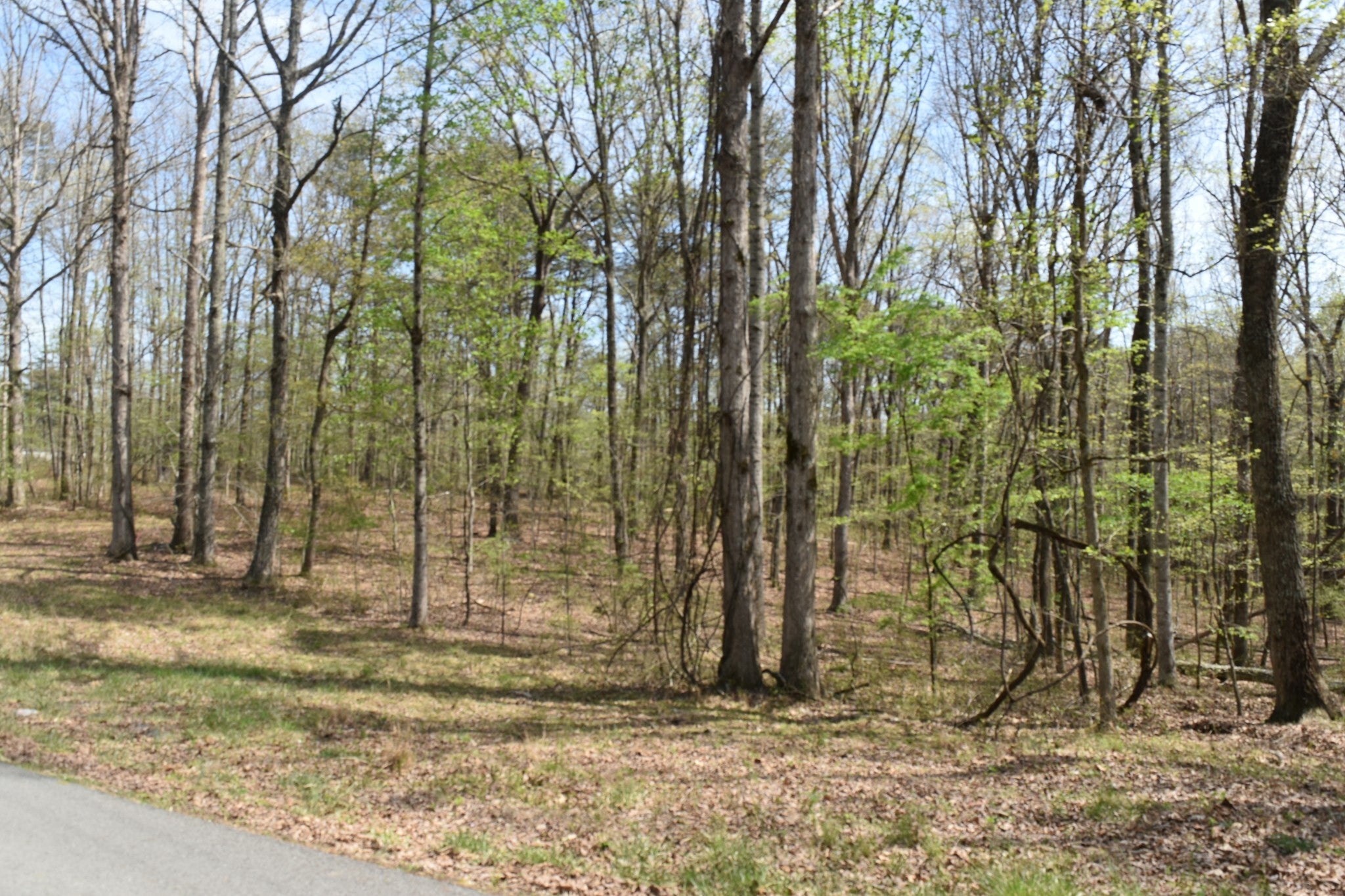 490 Haynes Rd