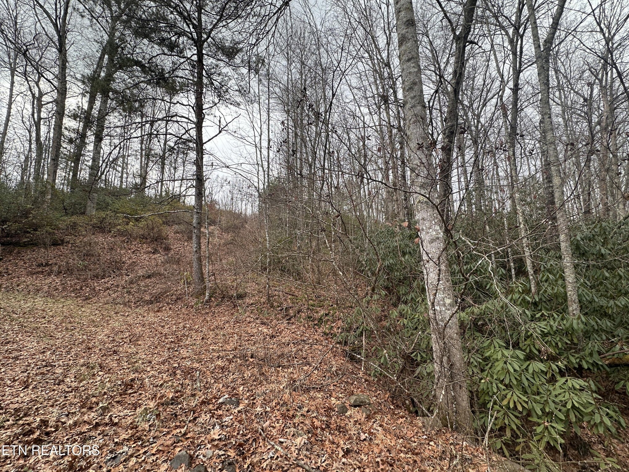 382 S of Franklin Rd