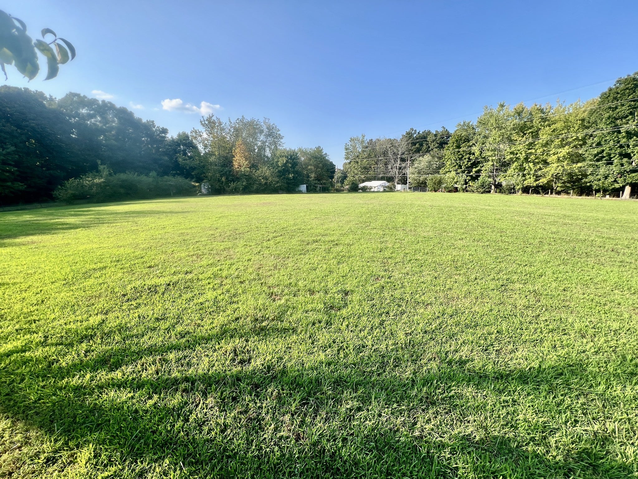 2686 Bellar Road