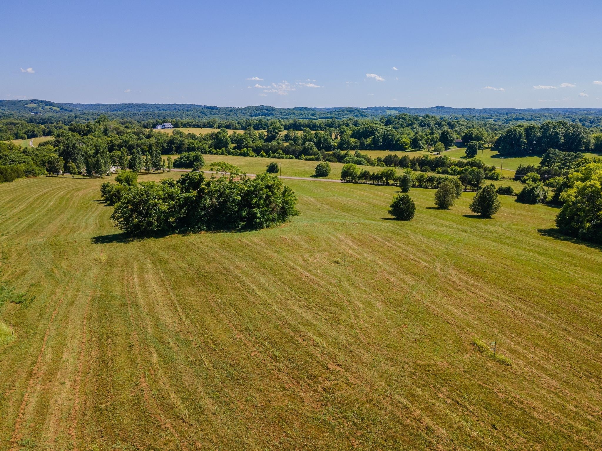 1065 Bugscuffle Road