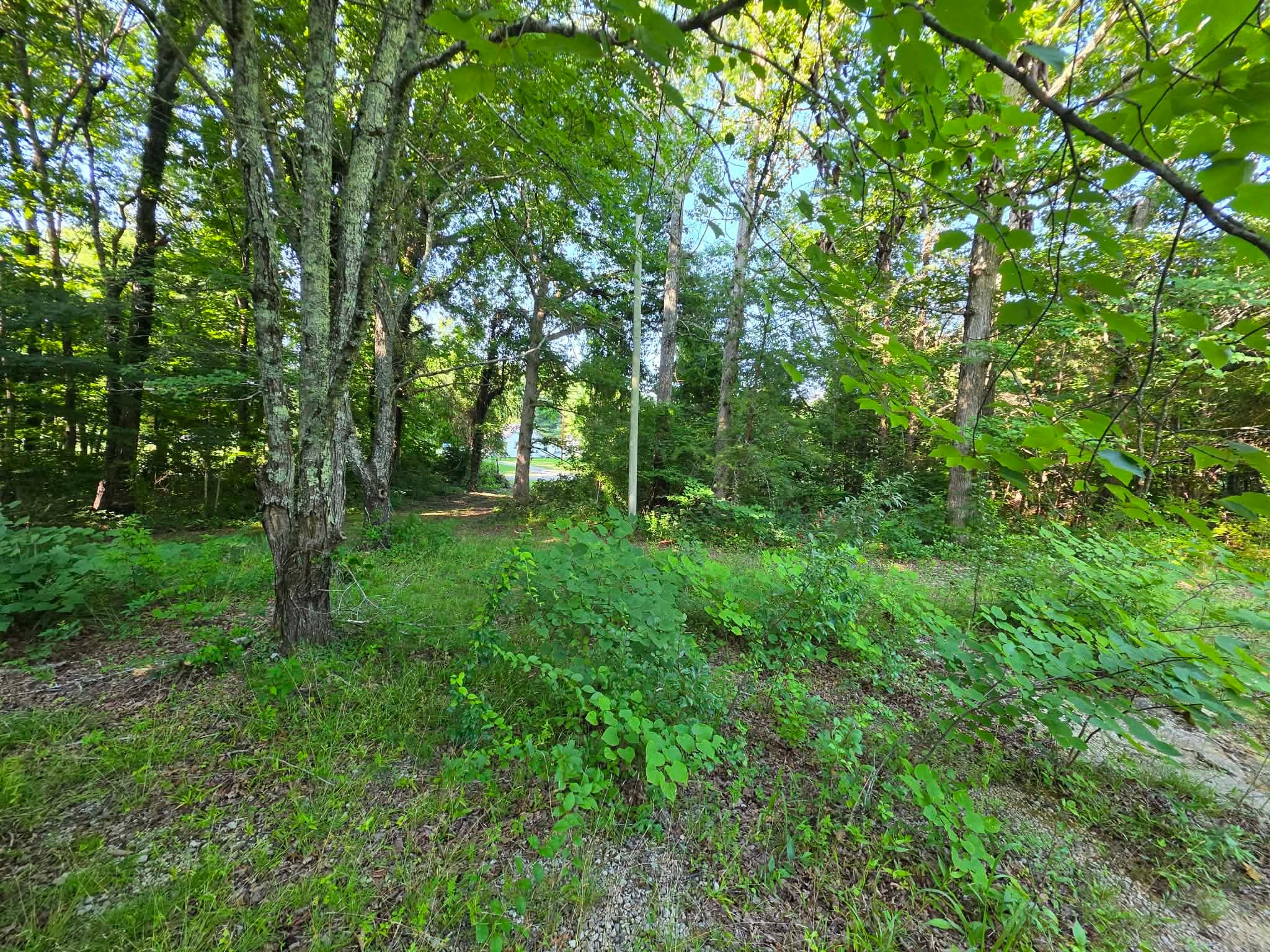 71 Myers Town Rd