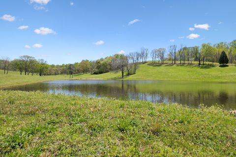 16700 Campbellsville Rd Lynnville TN 38472