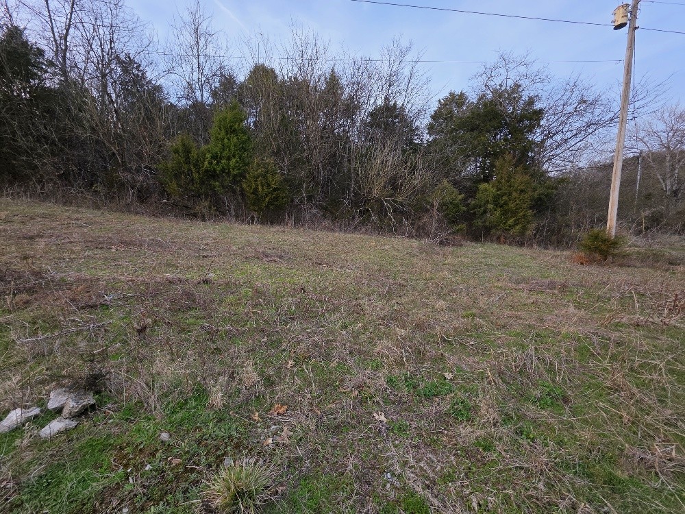 0 Woodmore Hollow Ln