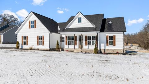 3840 Hollow Springs Rd Bradyville TN 37026