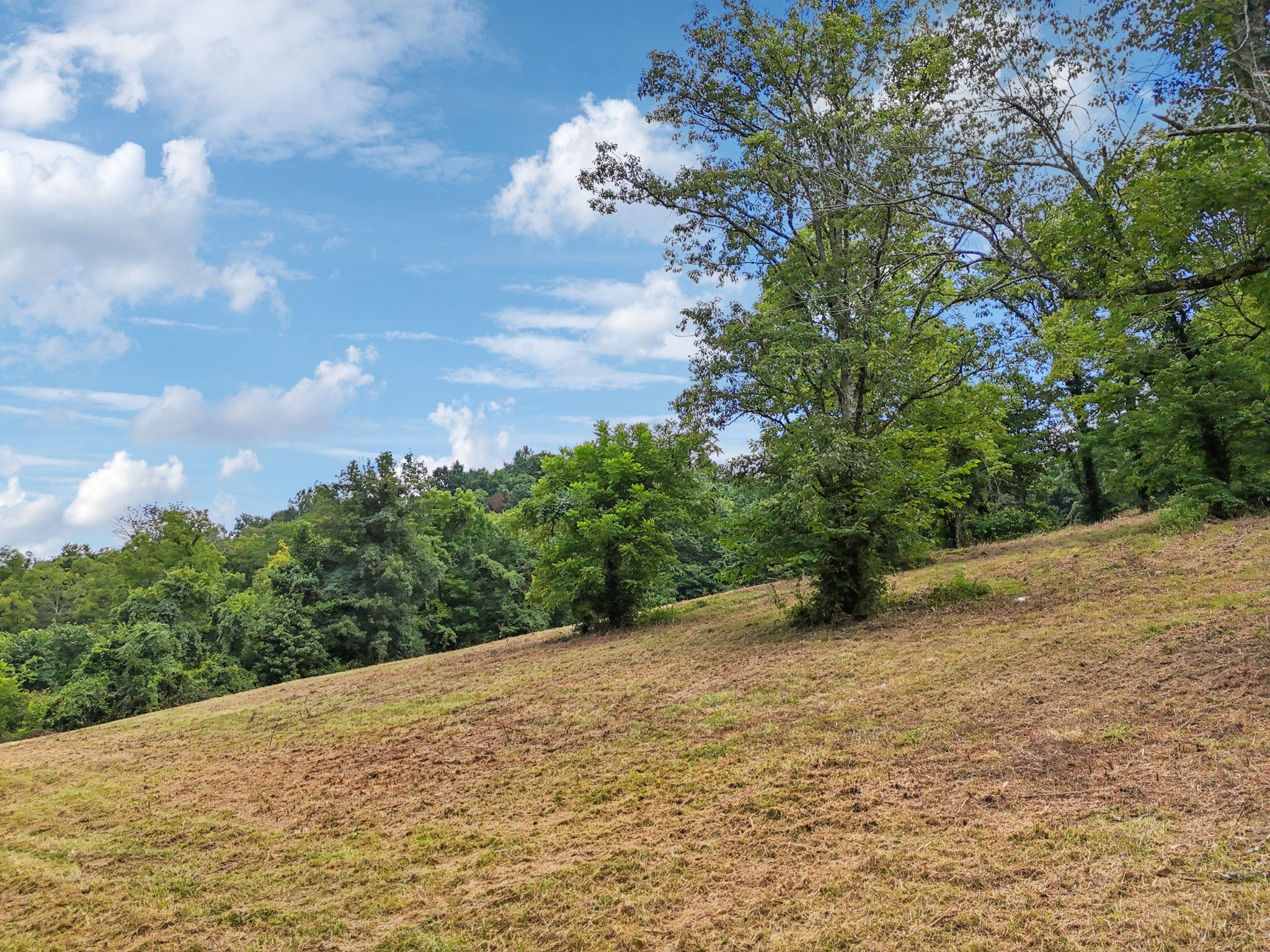 10B Puncheon Camp Ln