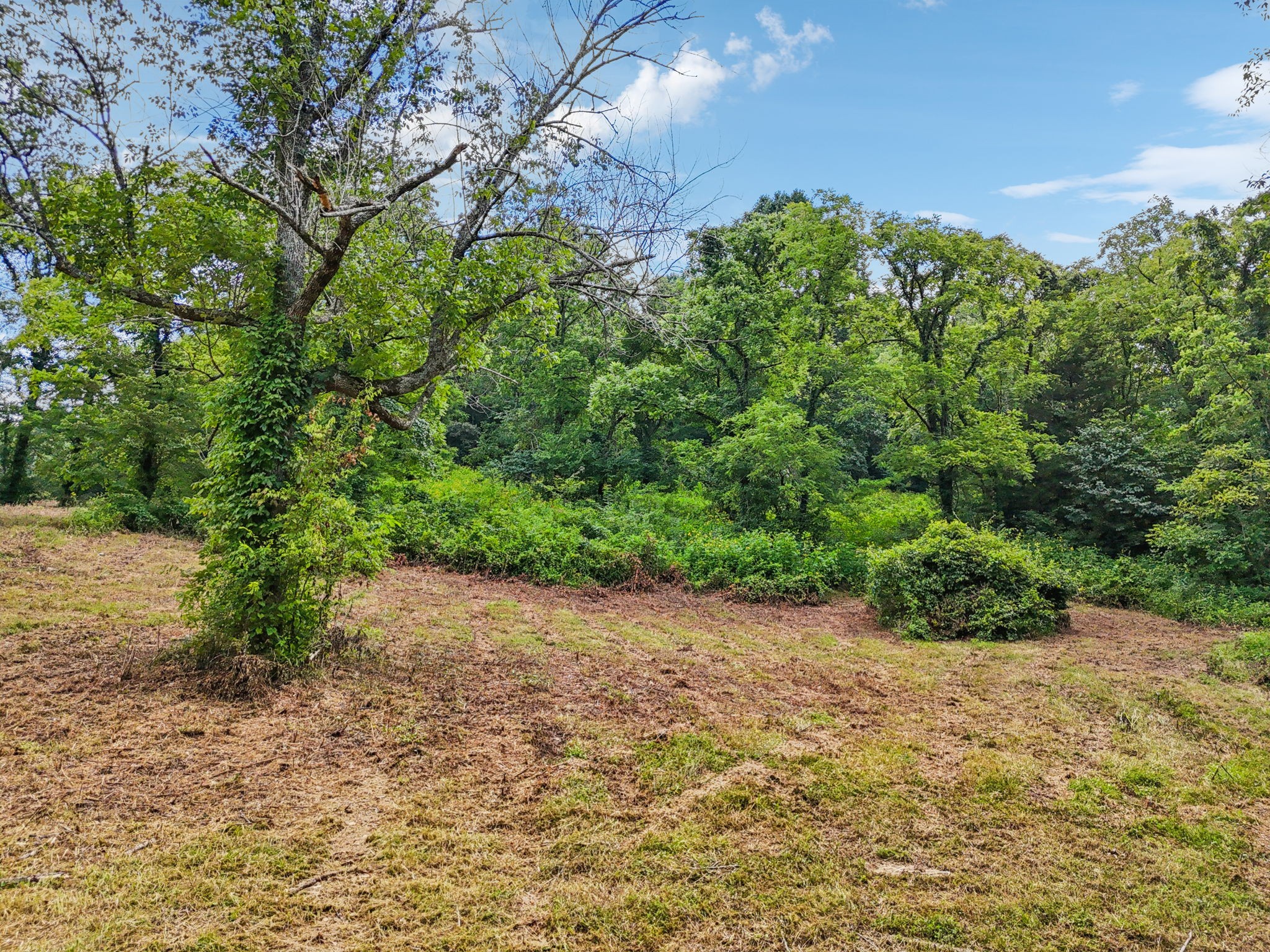 10B Puncheon Camp Ln