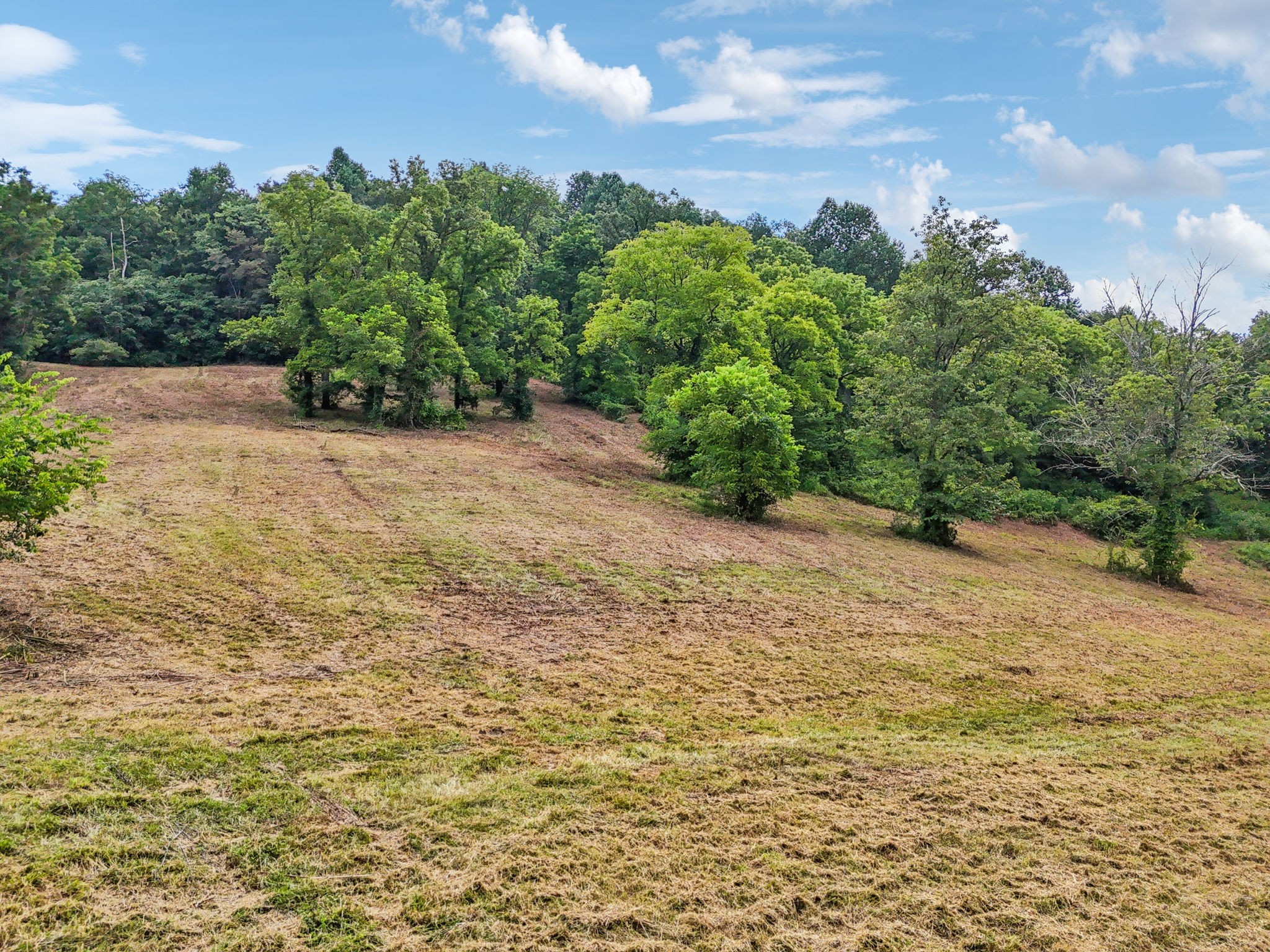 10B Puncheon Camp Ln