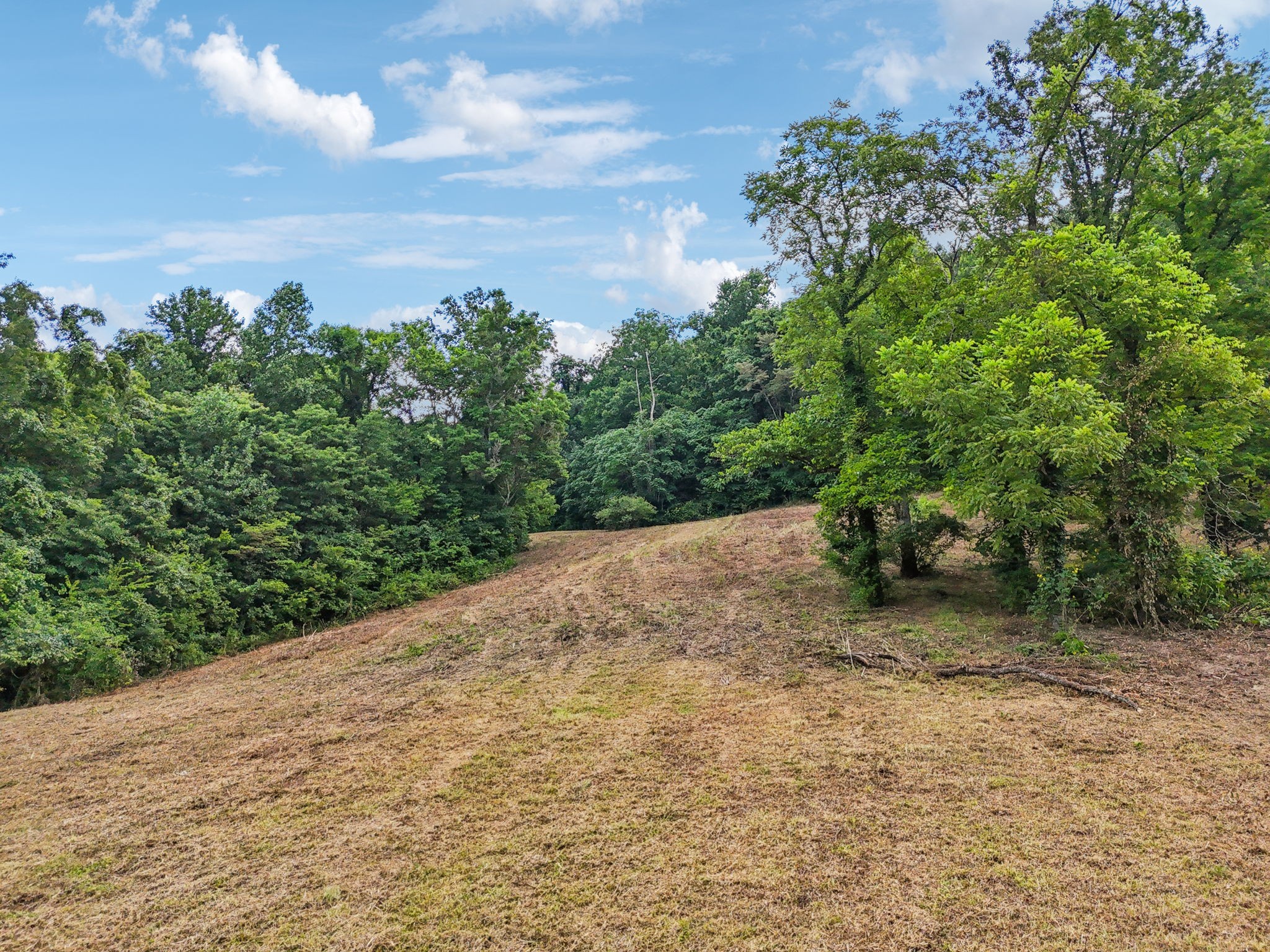 10B Puncheon Camp Ln