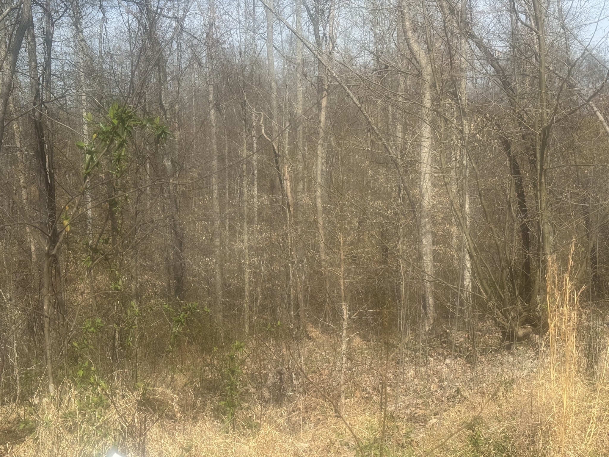 0 Ridgeway Drive