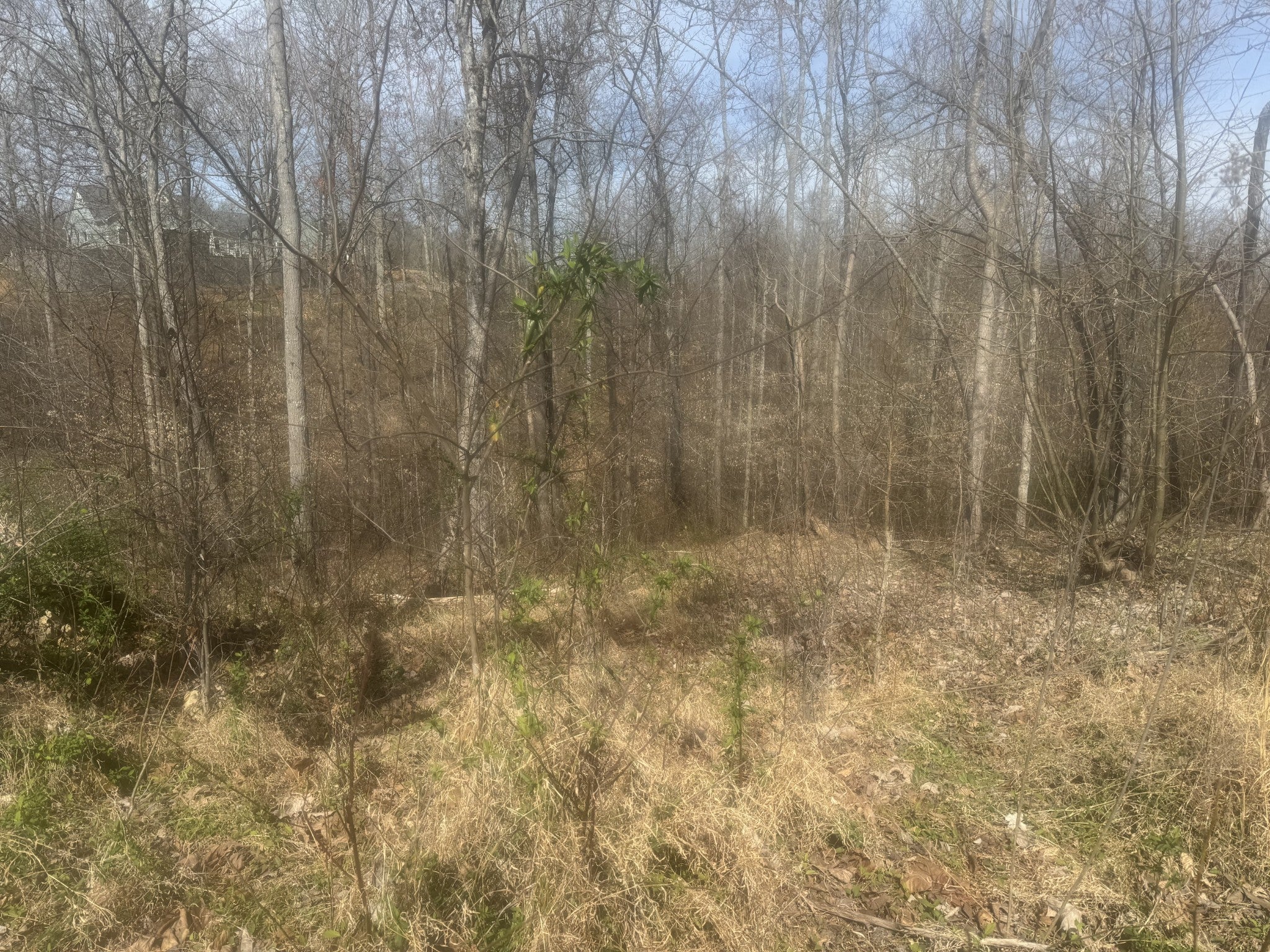 0 Ridgeway Drive