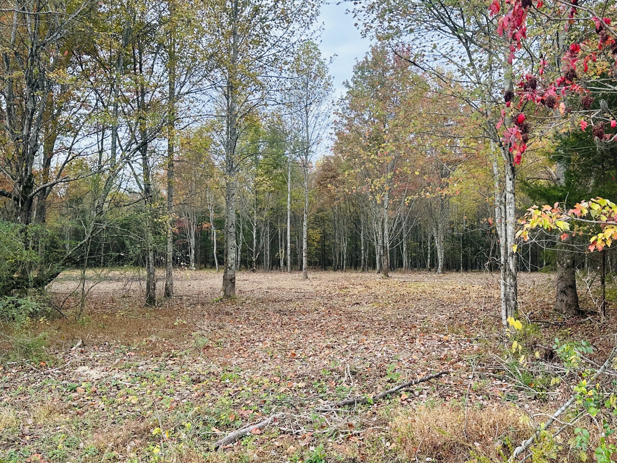 0 Johnson Rd
