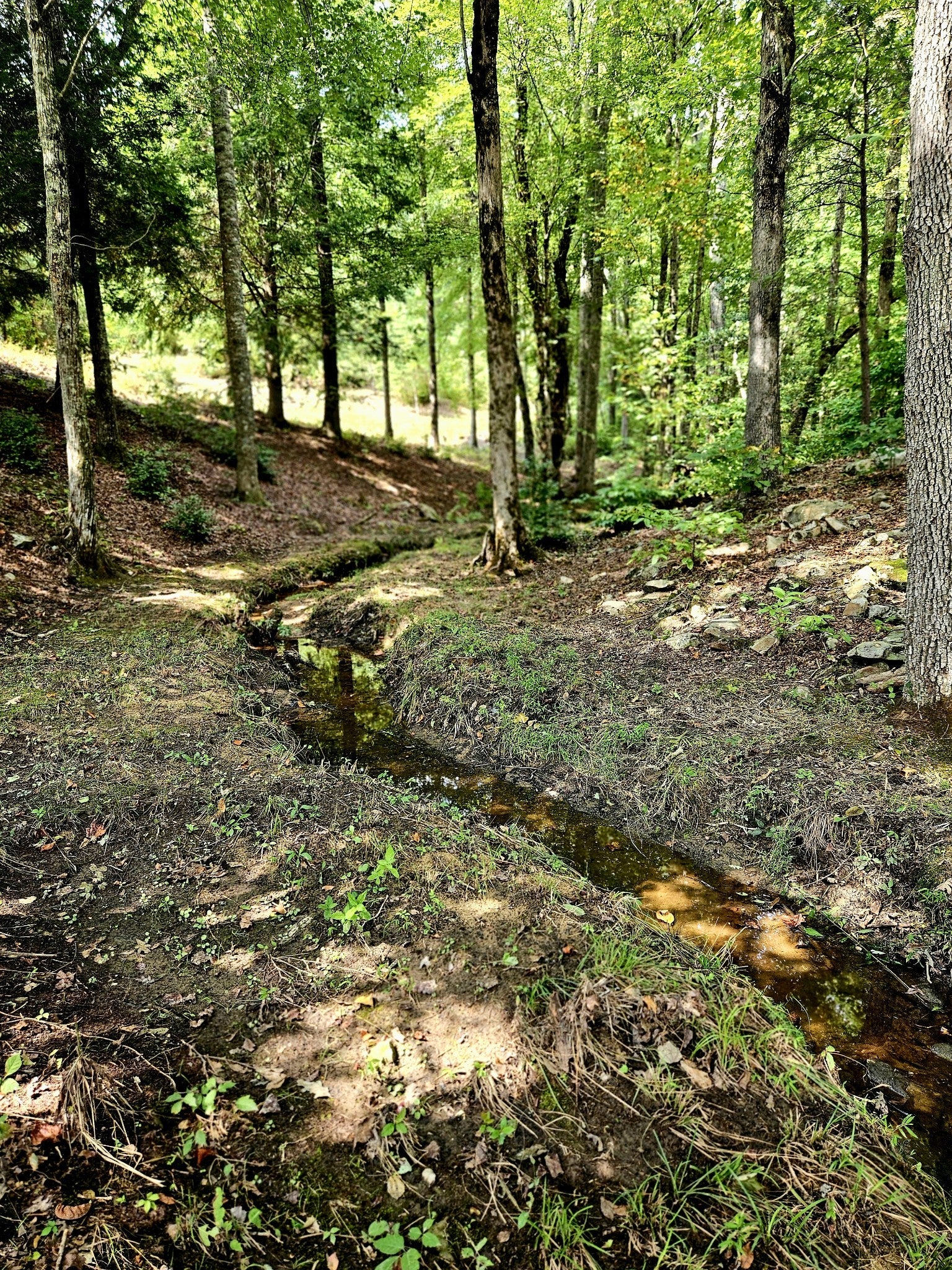 136 Winding Creek Way