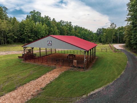 361 Sandy Kay Rd, Big Rock, TN 37023 - MLS#: 2815947