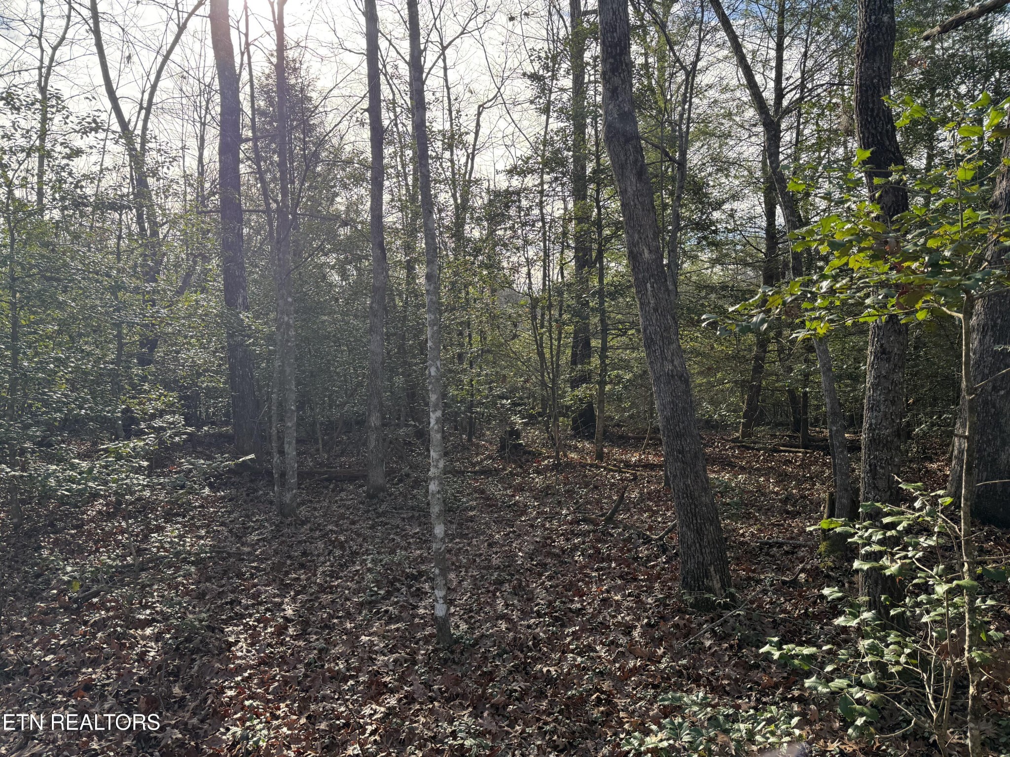 0 Walker Hollow Drive