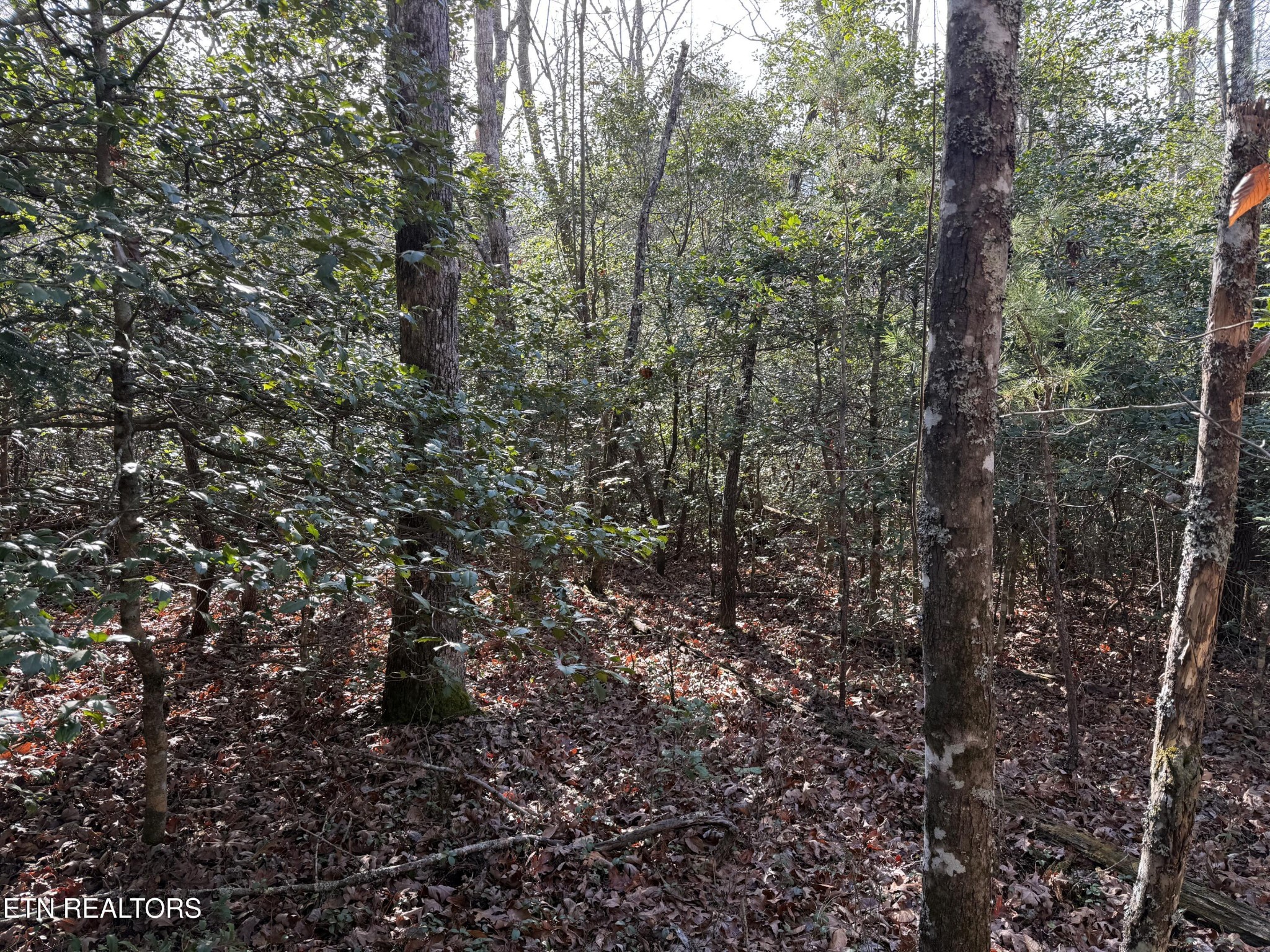 0 Walker Hollow Drive