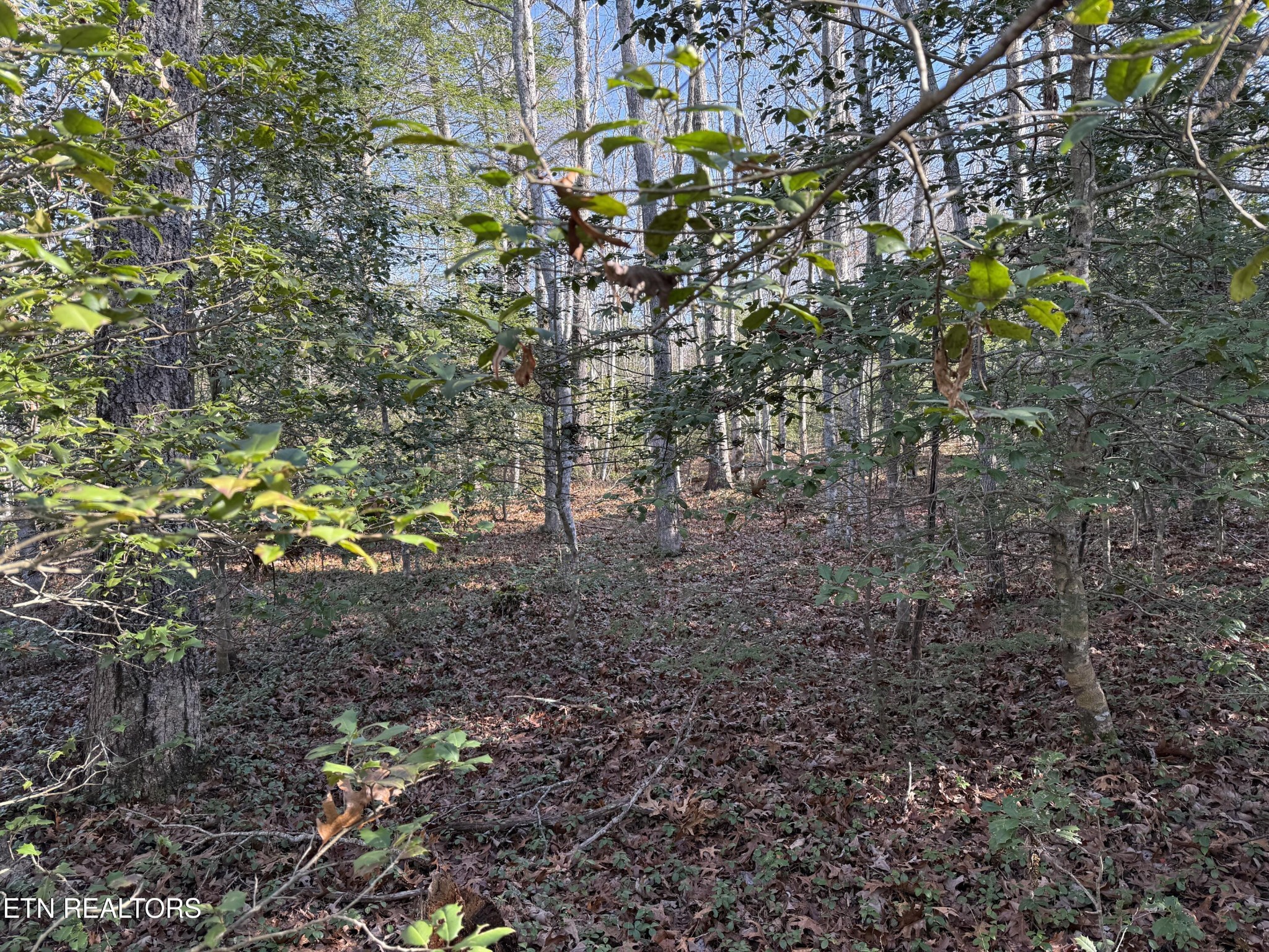 0 Walker Hollow Drive