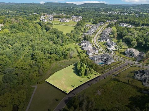 8905 Dovetail Ct College Grove TN 37046